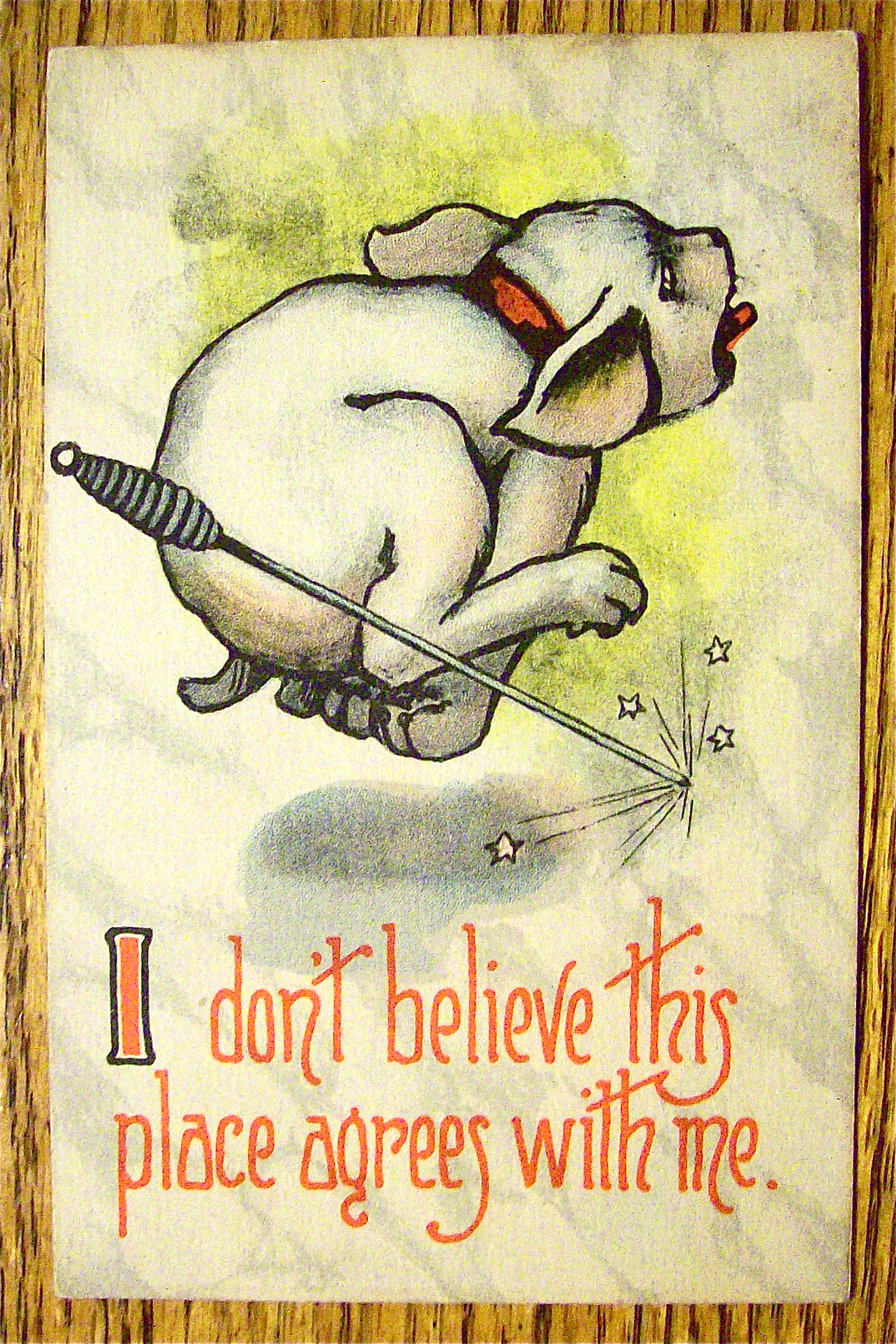 Puppy Having A Fire Pick Thrown At It Postcard
