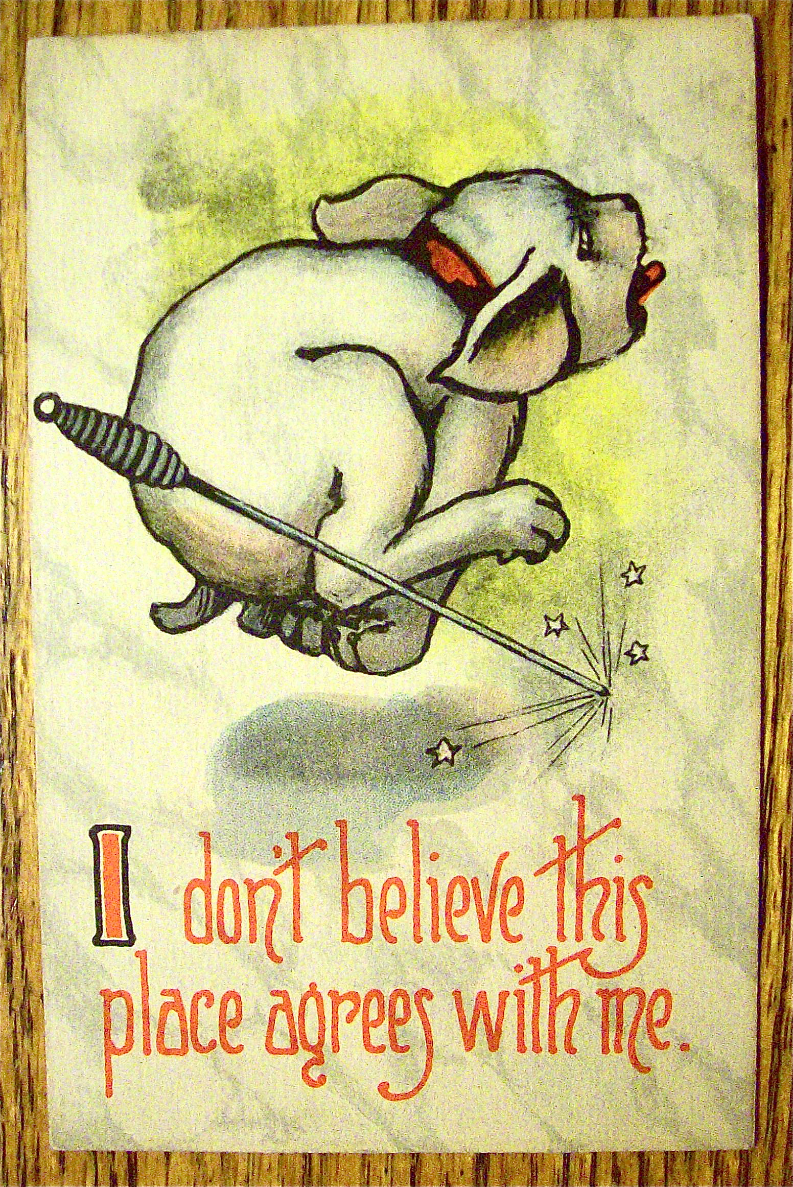 Puppy Having A Fire Pick Thrown At It Postcard