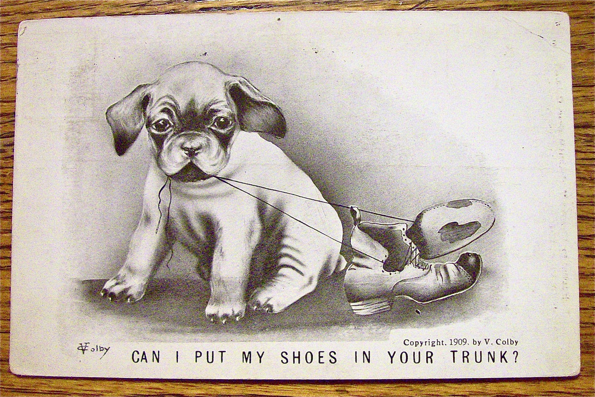 Puppy Chewing On A Pair Of Shoes Postcard