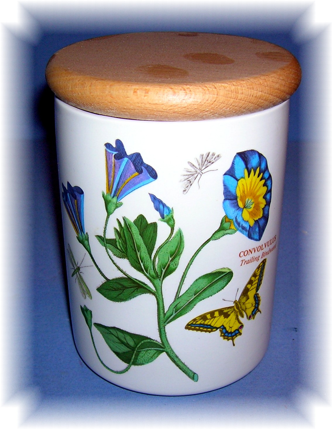 Portmeirion China Trailing Bindweed Canister