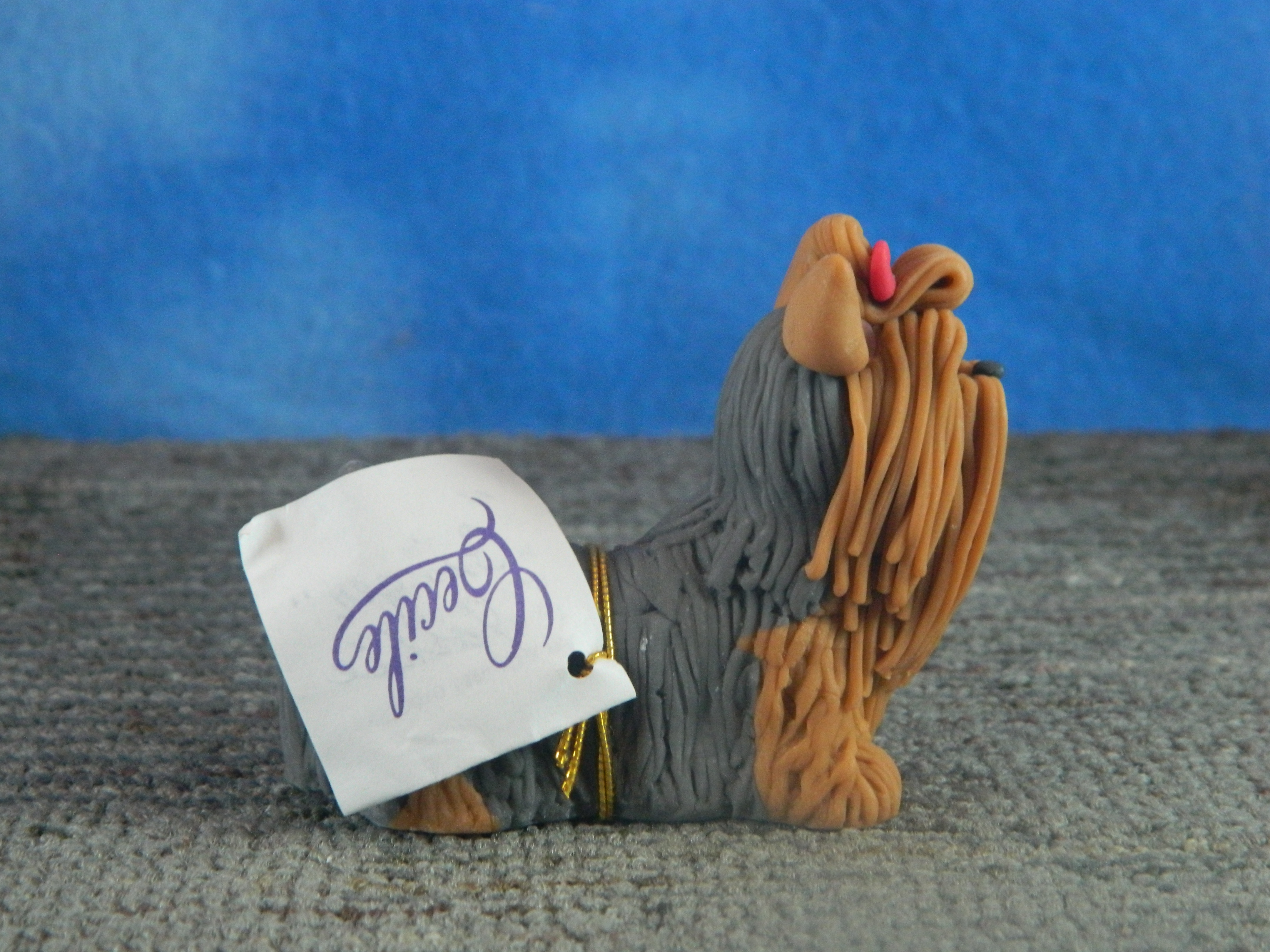 Cecile Yorkshire Terrier