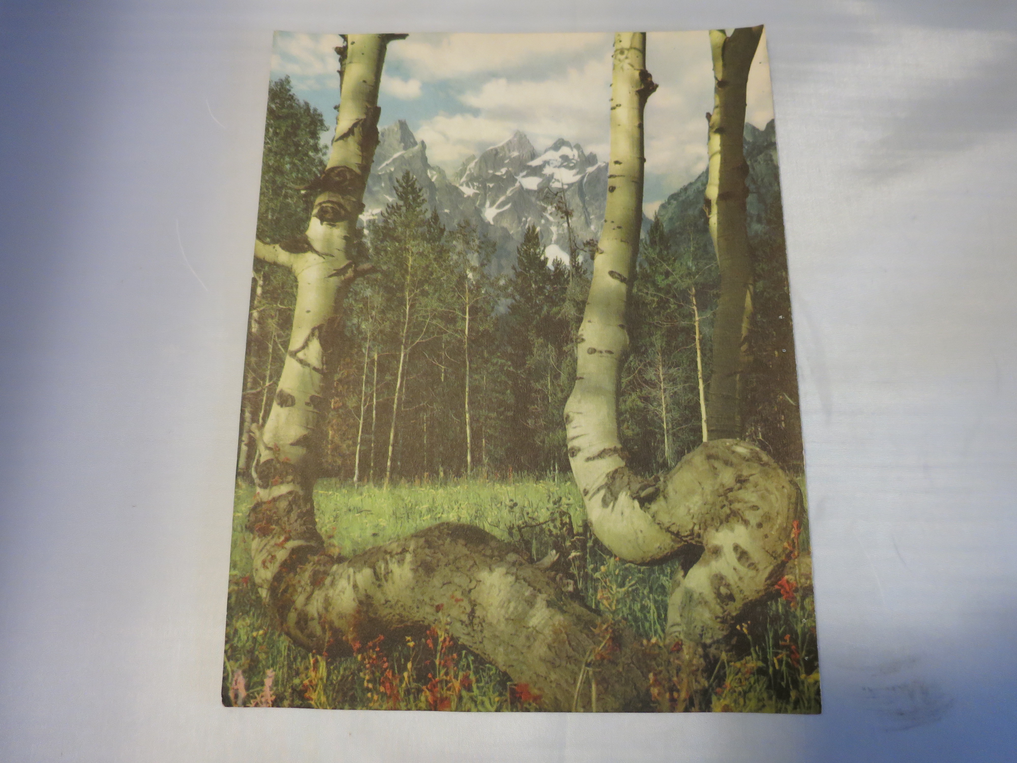 Rapture Lithograph Ideal Print 1950