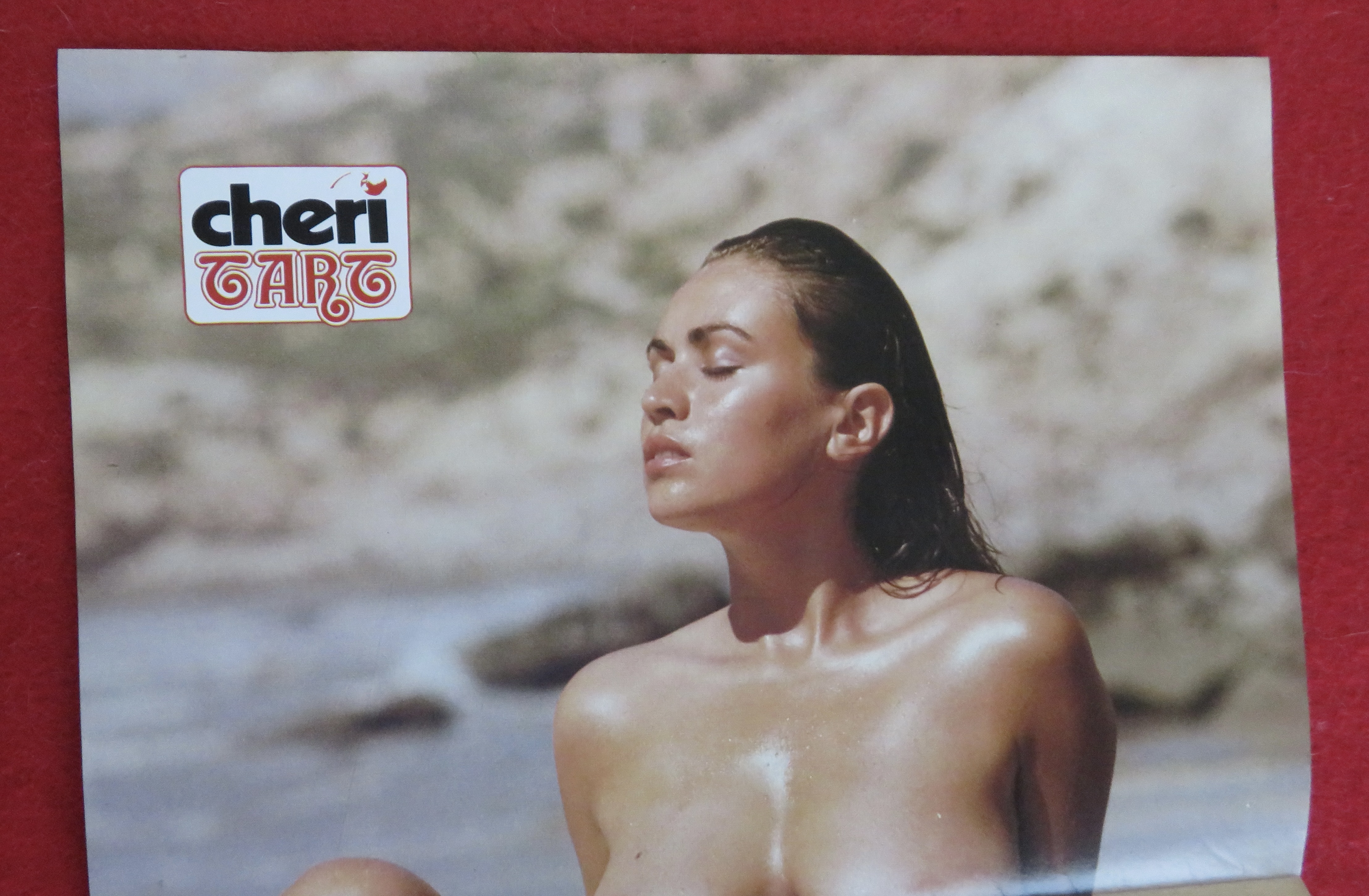 Cheri Magazine April 1980 Melissa
