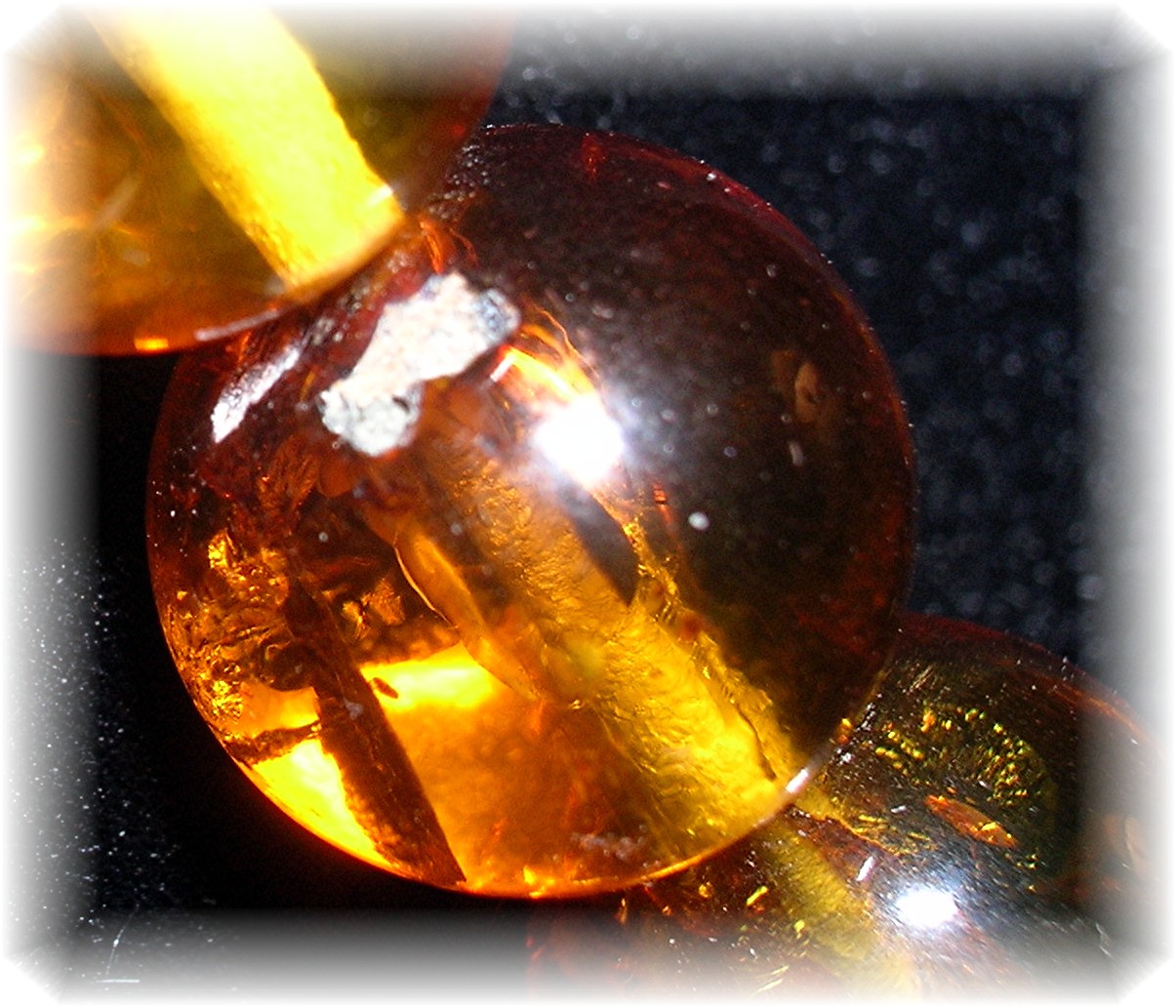 Baltic Amber Bugs Leaves Graduated 22 inch Necklace
