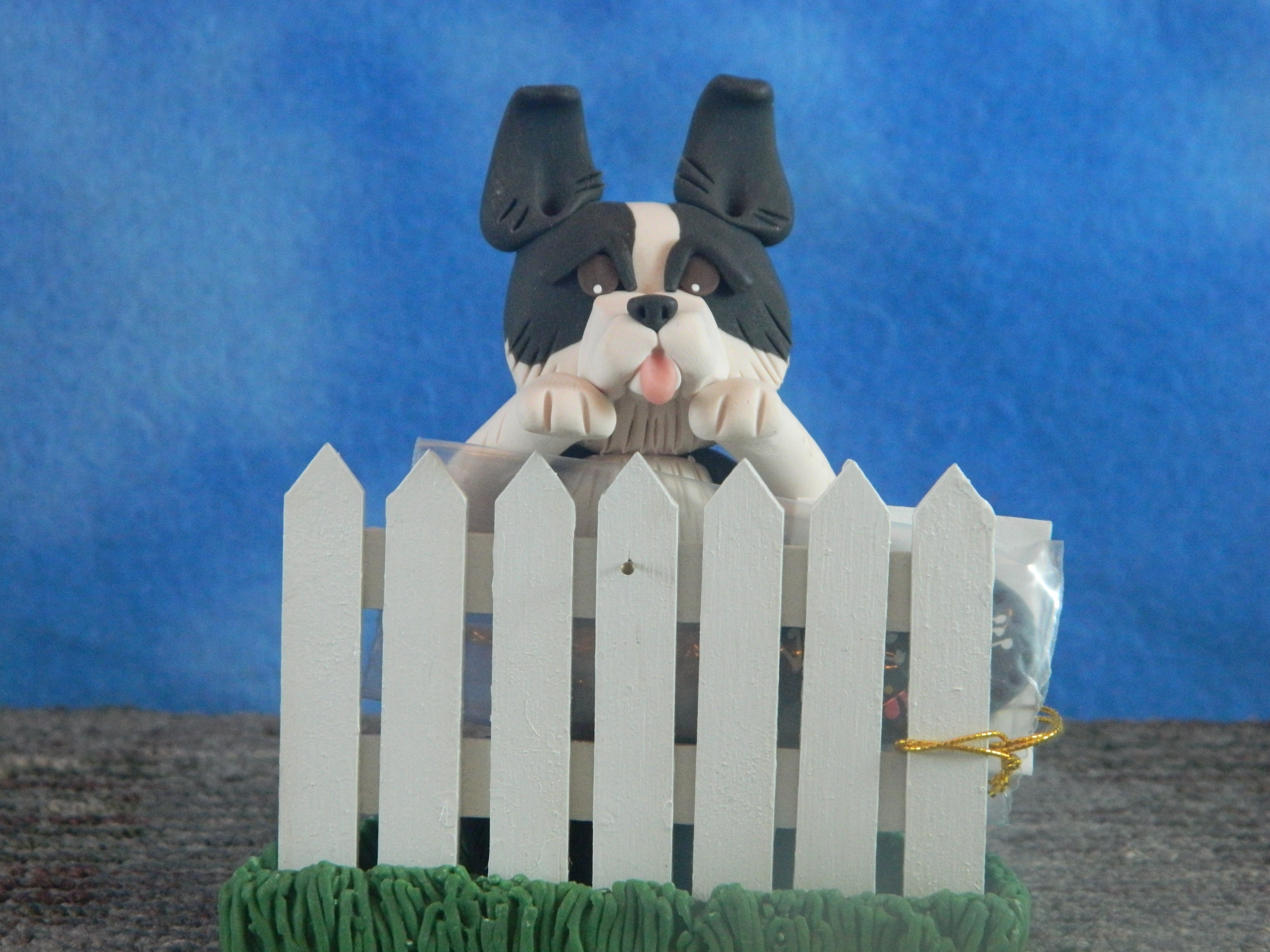 Cecile Border Collie behind fence with Welcome sign