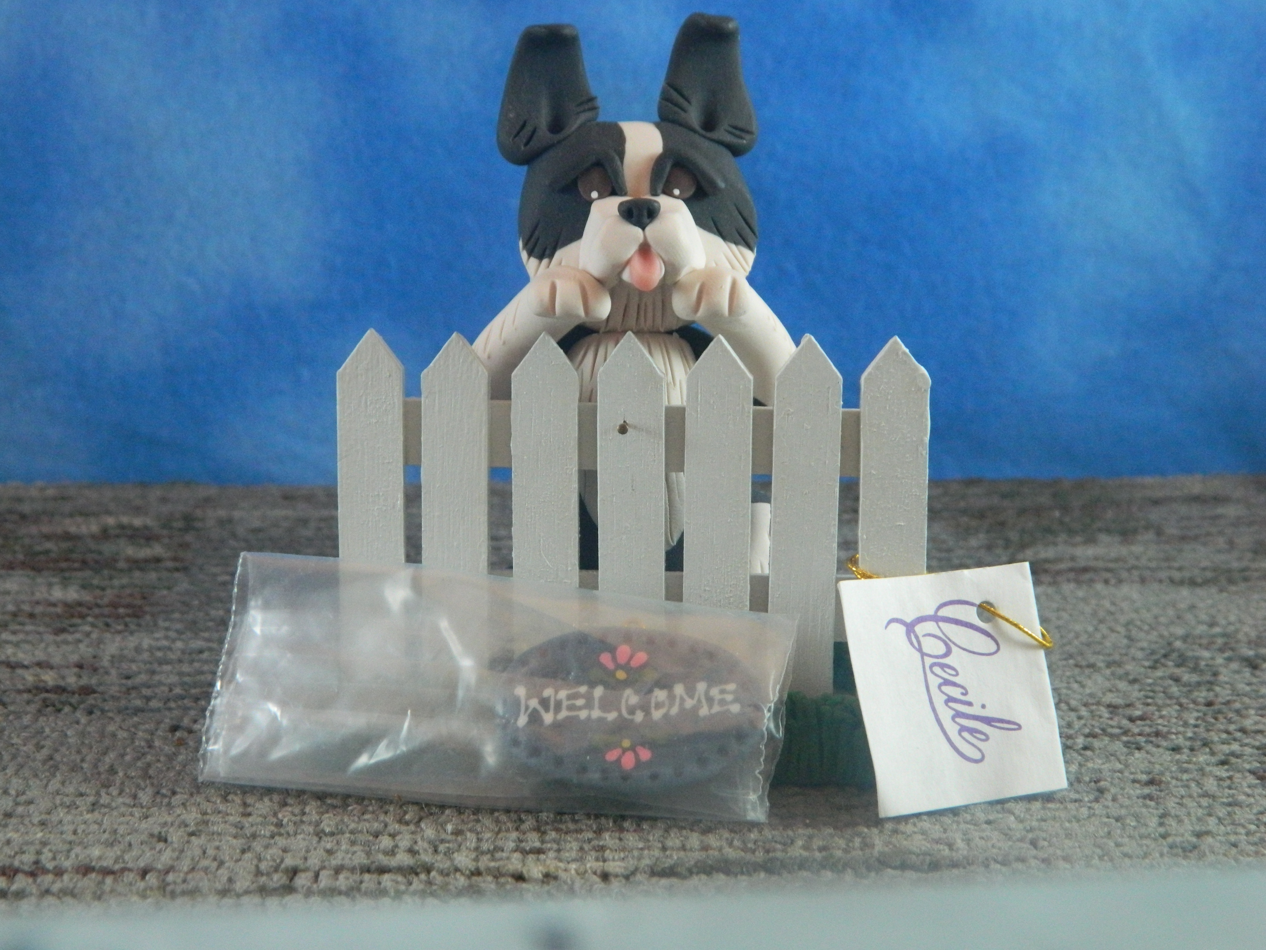 Cecile Border Collie behind fence with Welcome sign