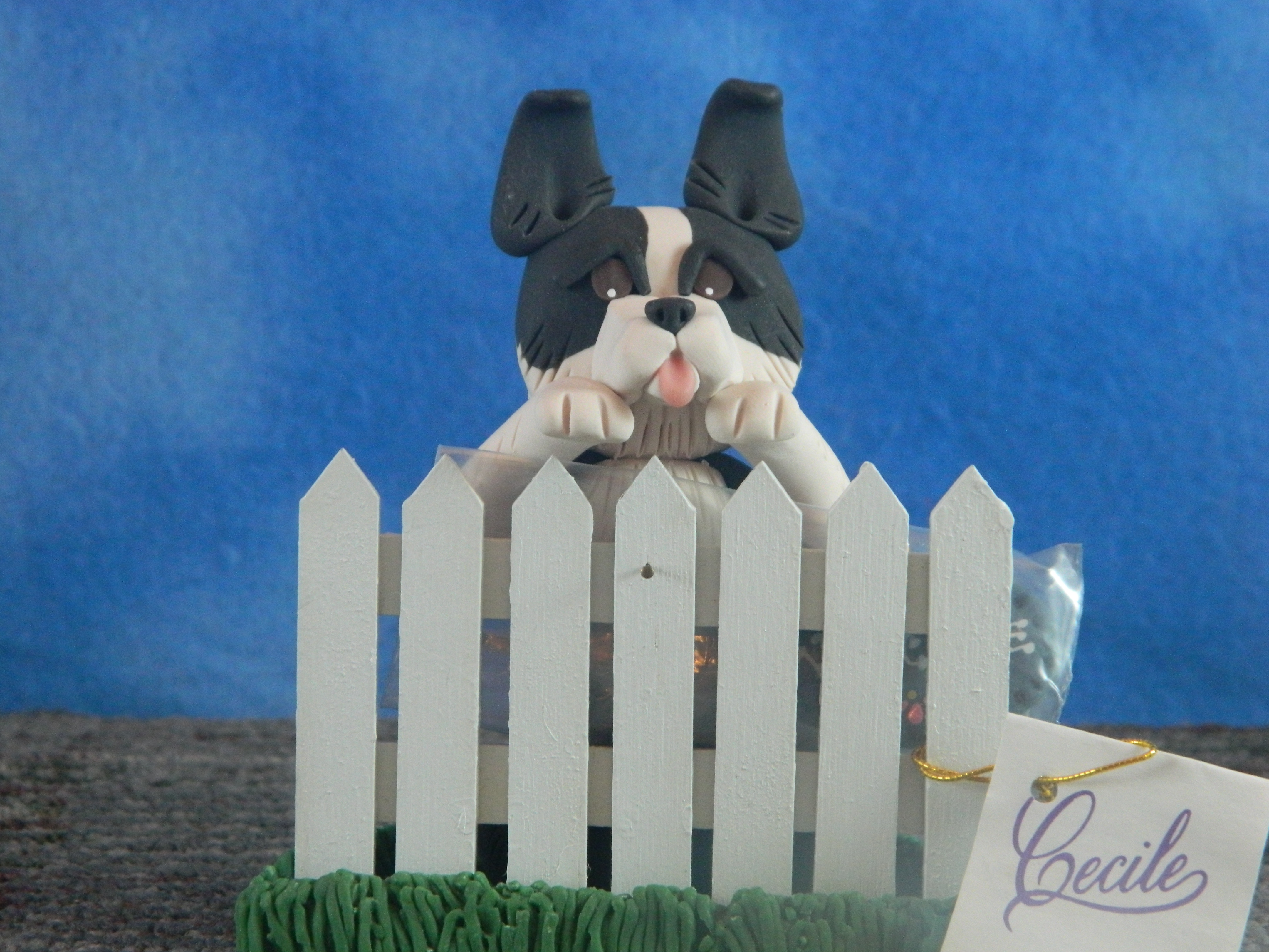Cecile Border Collie behind fence with Welcome sign