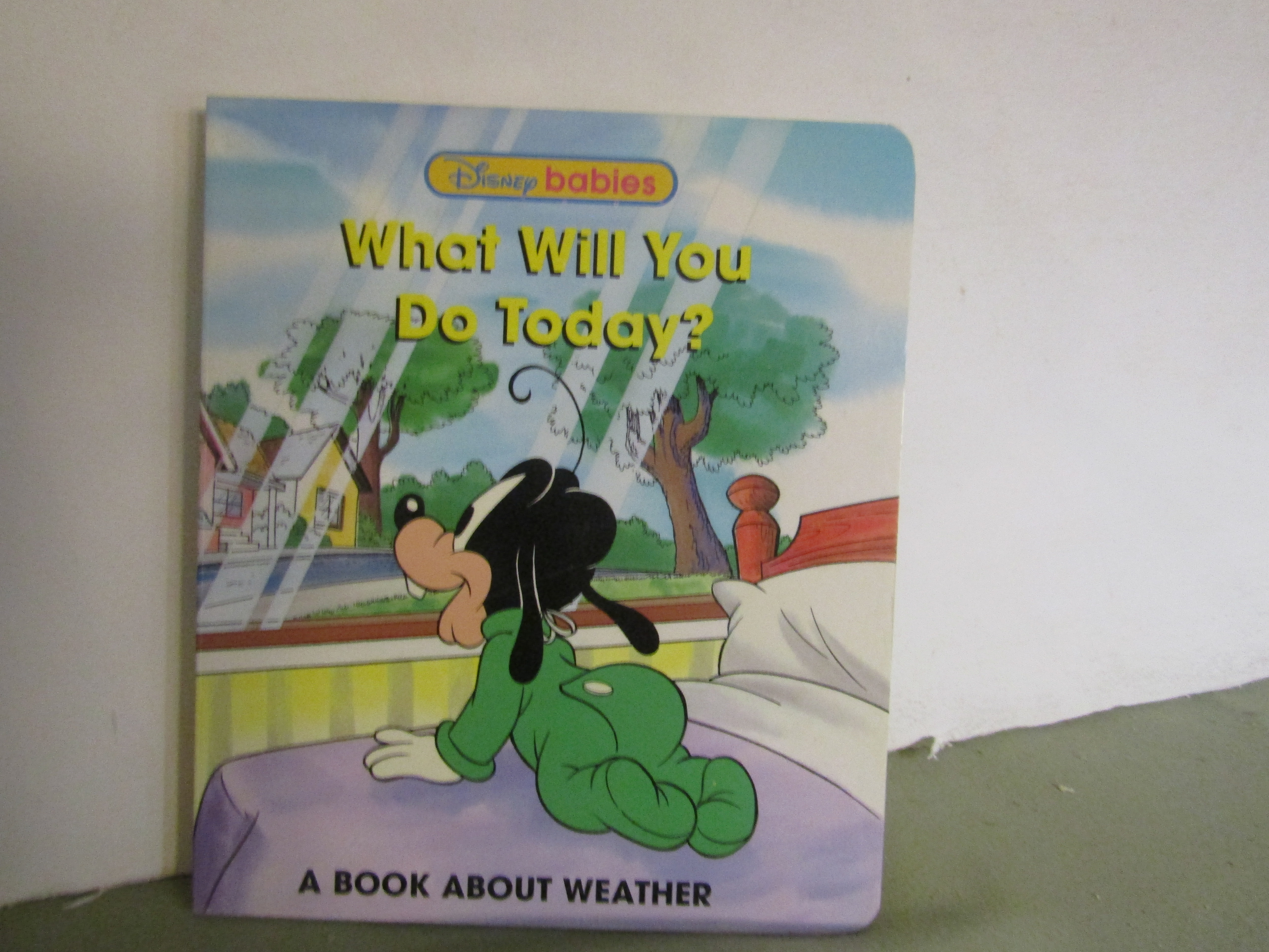 Book Disney Babies What Will You Do Today?