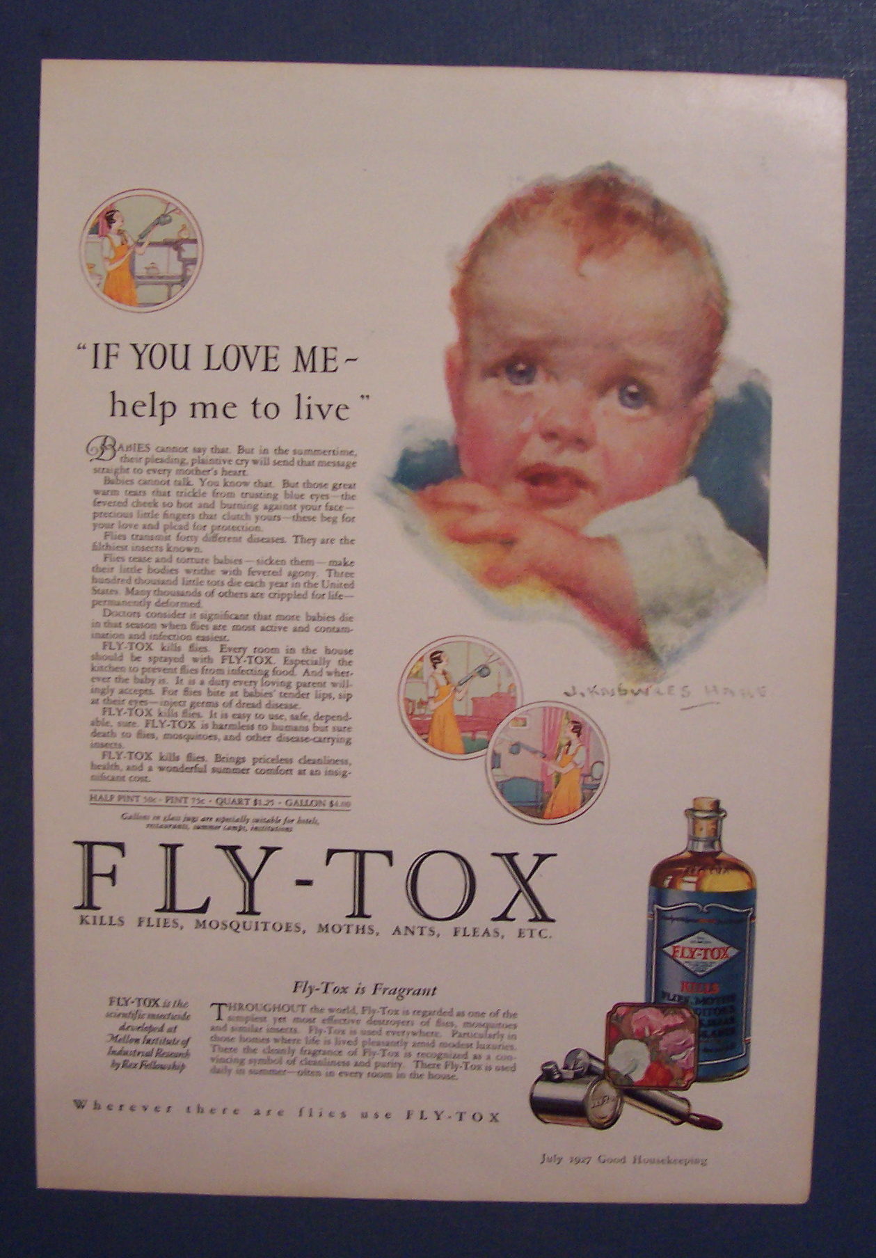 1927 Fly-Tox By J. Knowles Hare