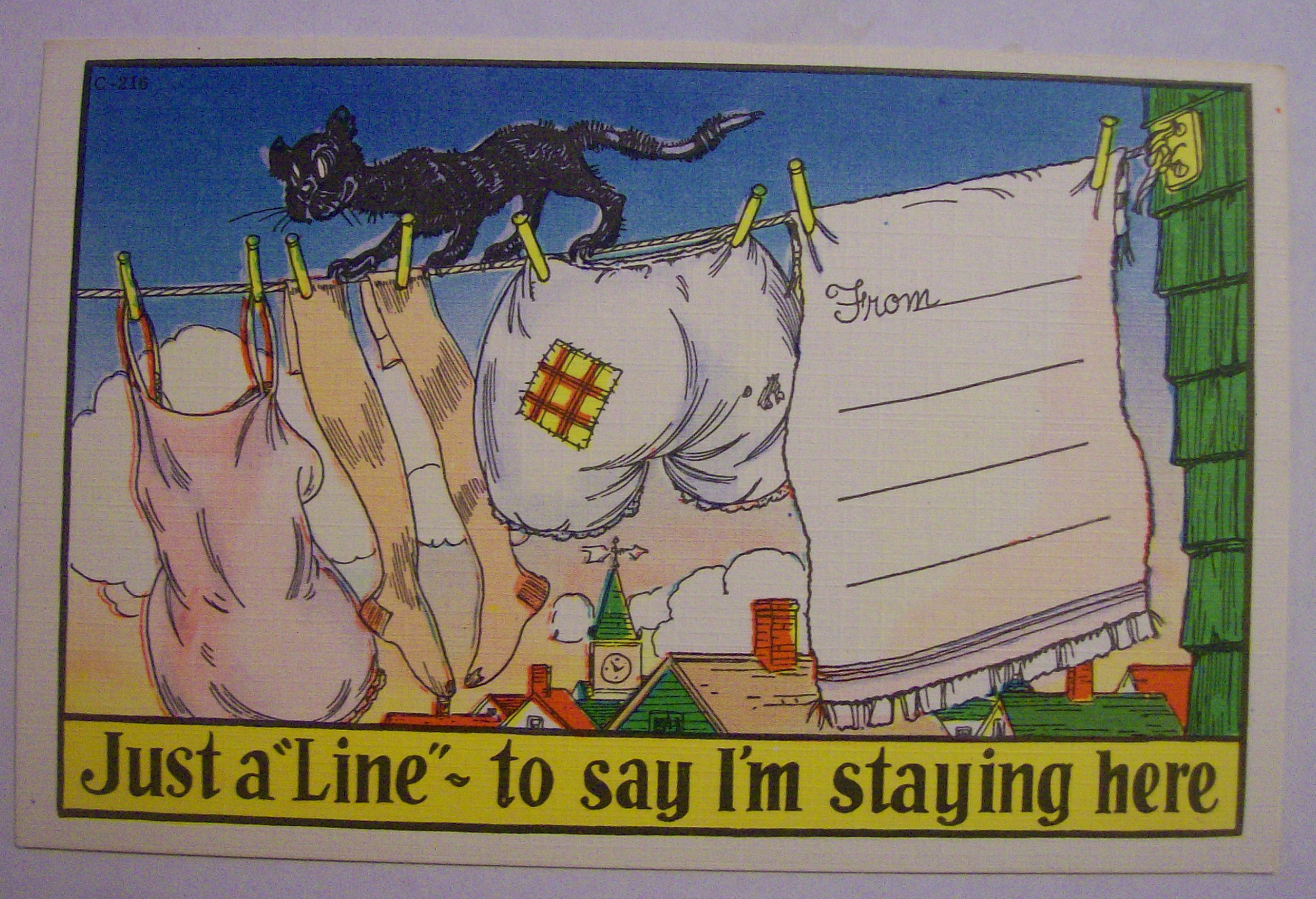 Cat Walking On Clothes Line Postcard