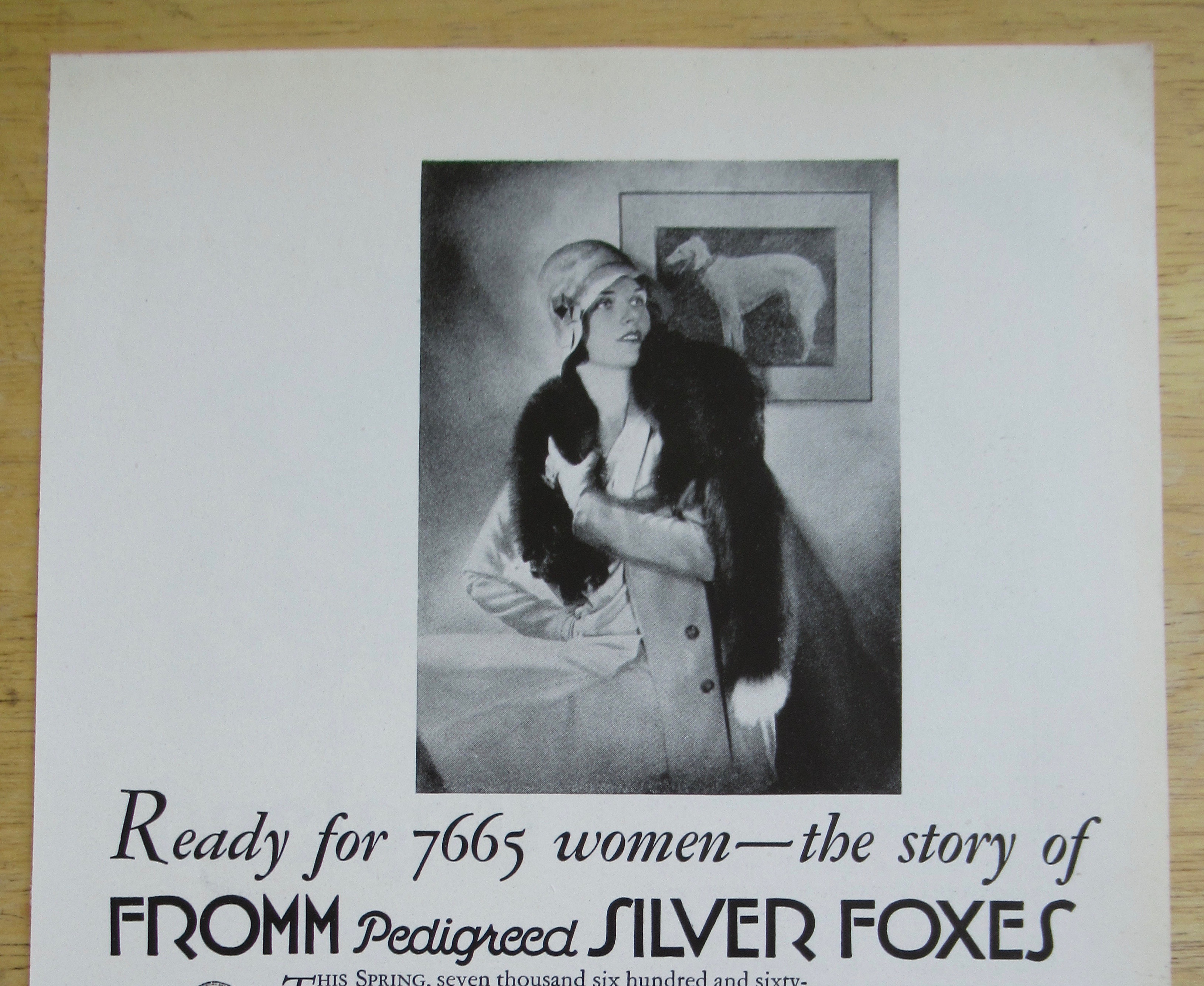 1929 Fromm Pedigreed Fox Scarfs with Silver Fox Scarf