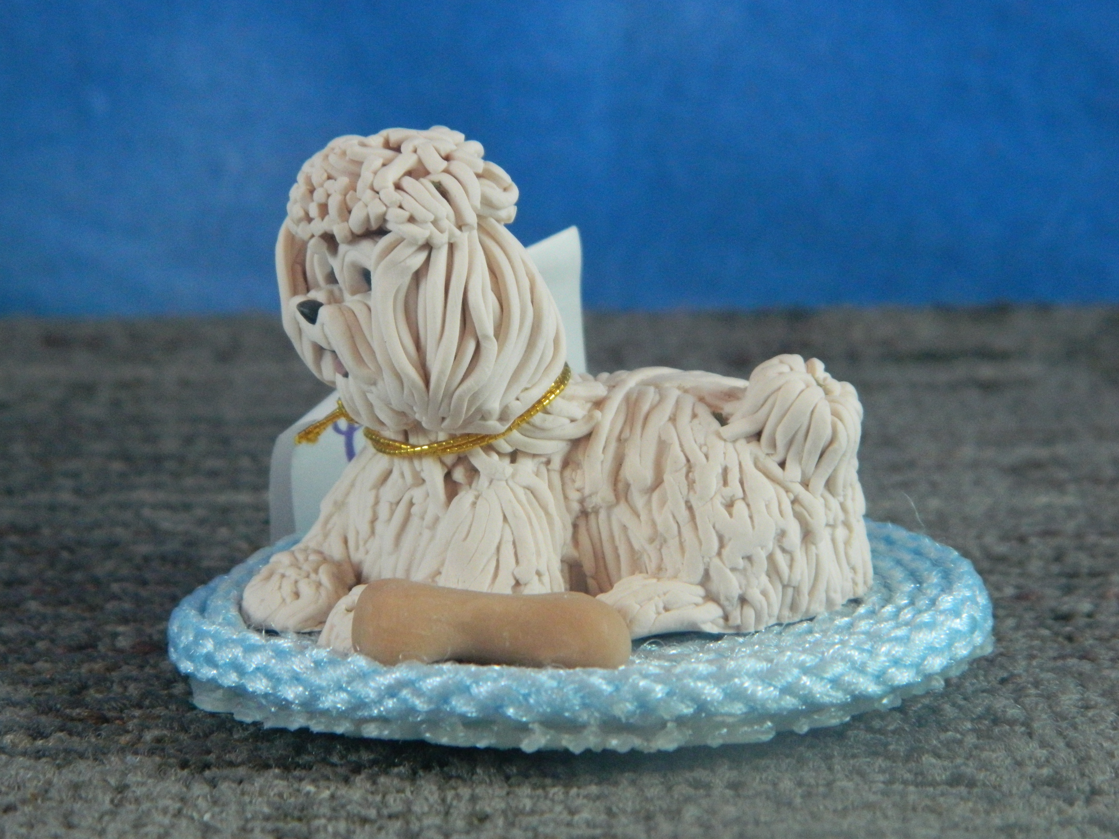 Cecile Bichon Frise on Rug