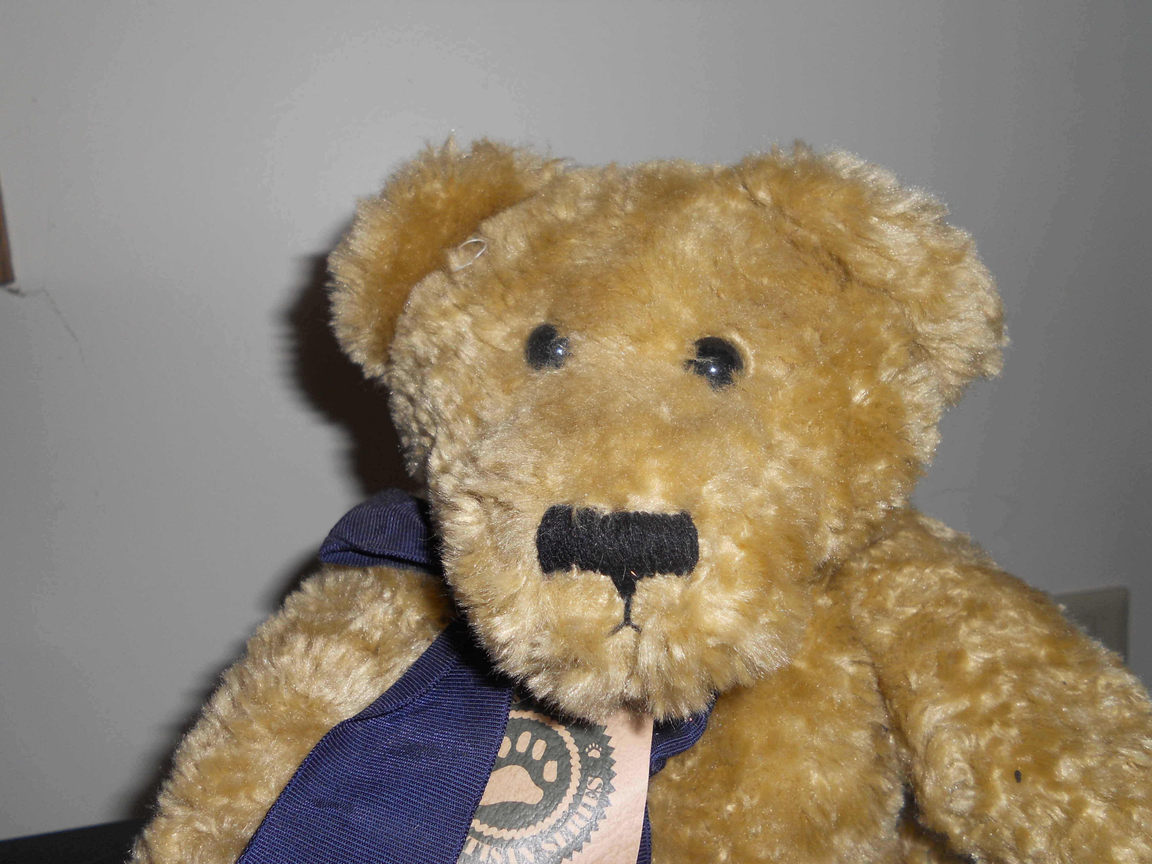 Boyds Bear With Tag and Crier