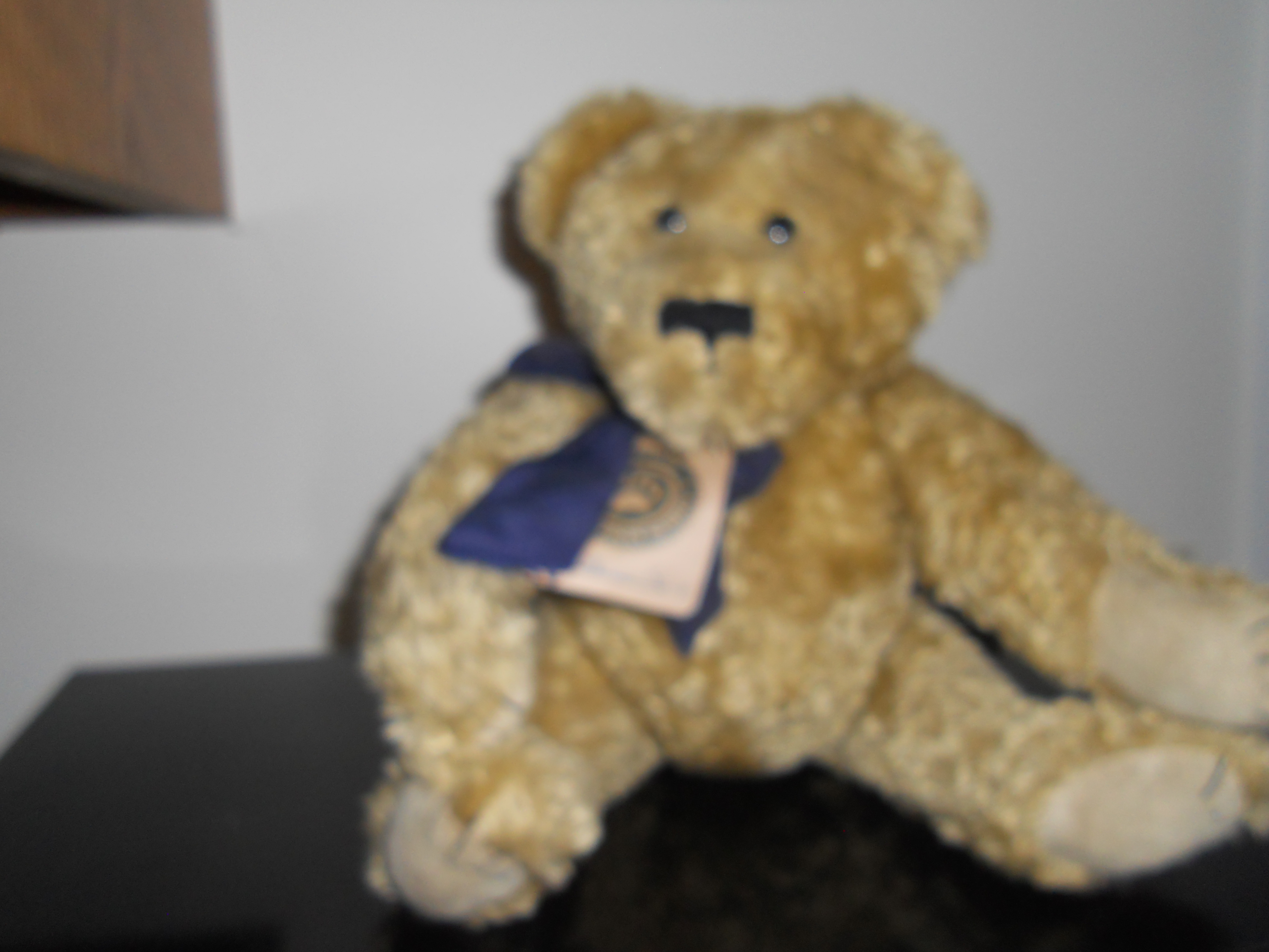Boyds Bear With Tag and Crier