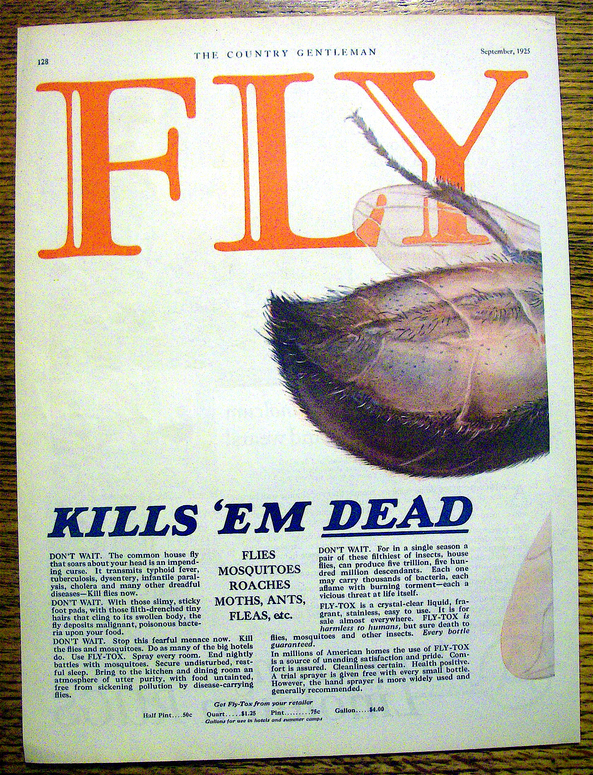 1925 Fly-Tox with Giant Fly & Spray