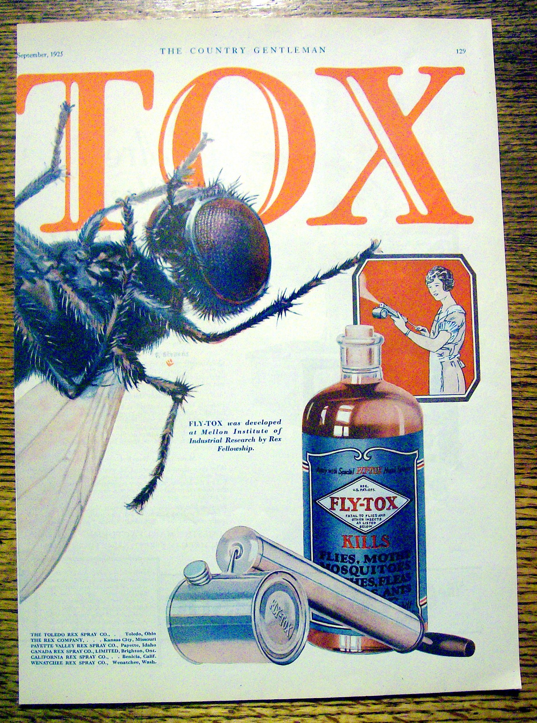1925 Fly-Tox with Giant Fly & Spray