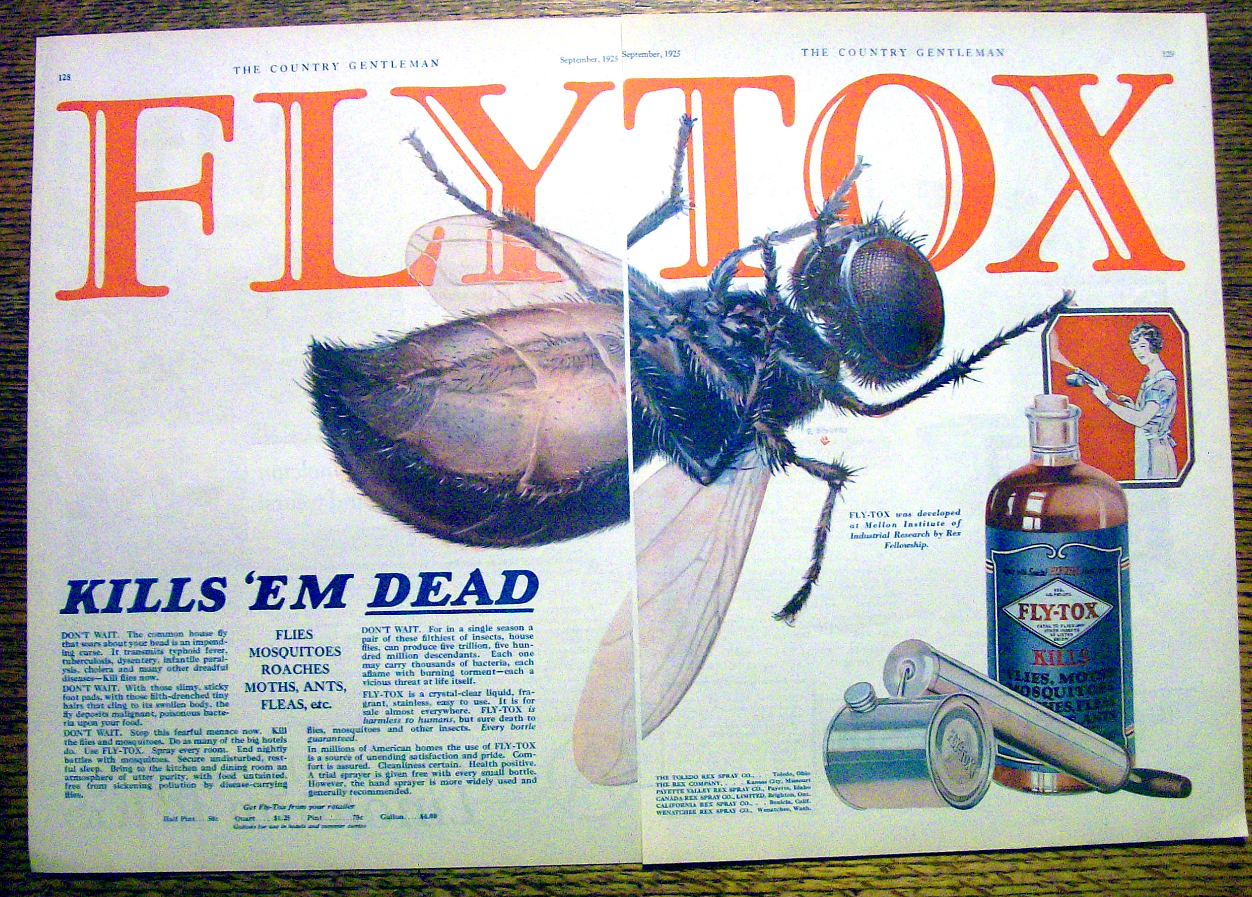 1925 Fly-Tox with Giant Fly & Spray
