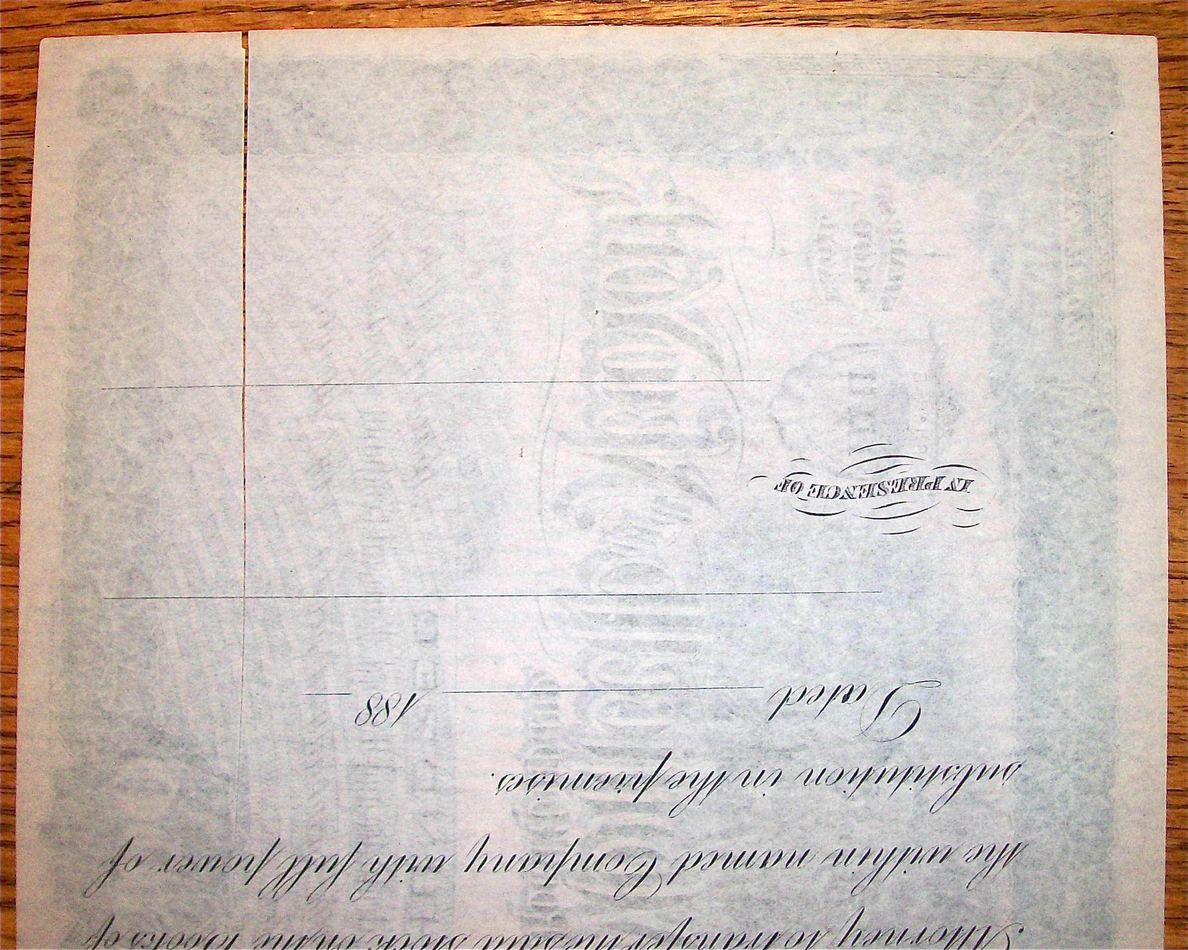 1880 Port, Jervis, Monticello & New York 100 Shares