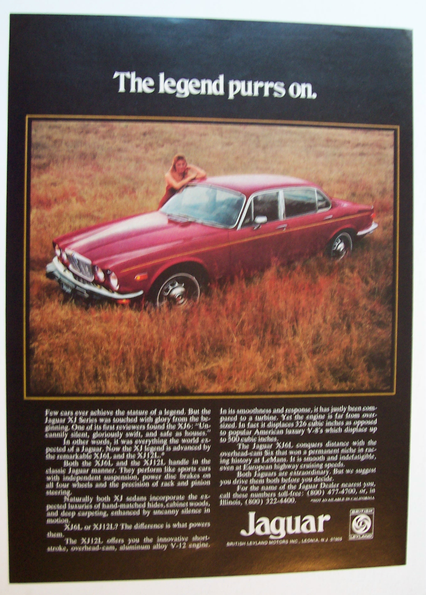 1975  Jaguar