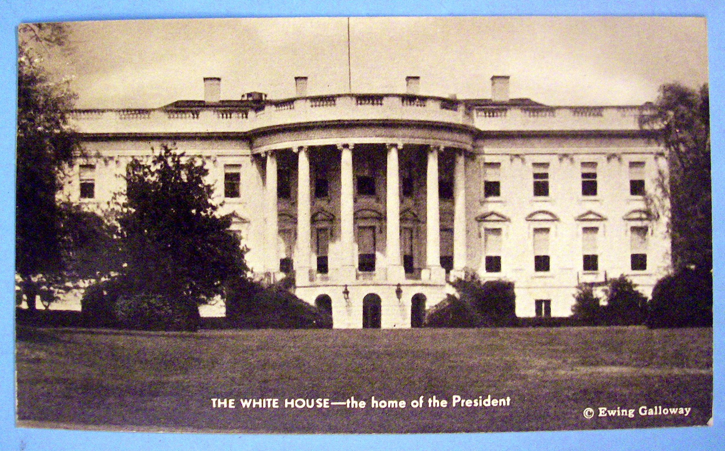 The White House Postcard with Home Of The President