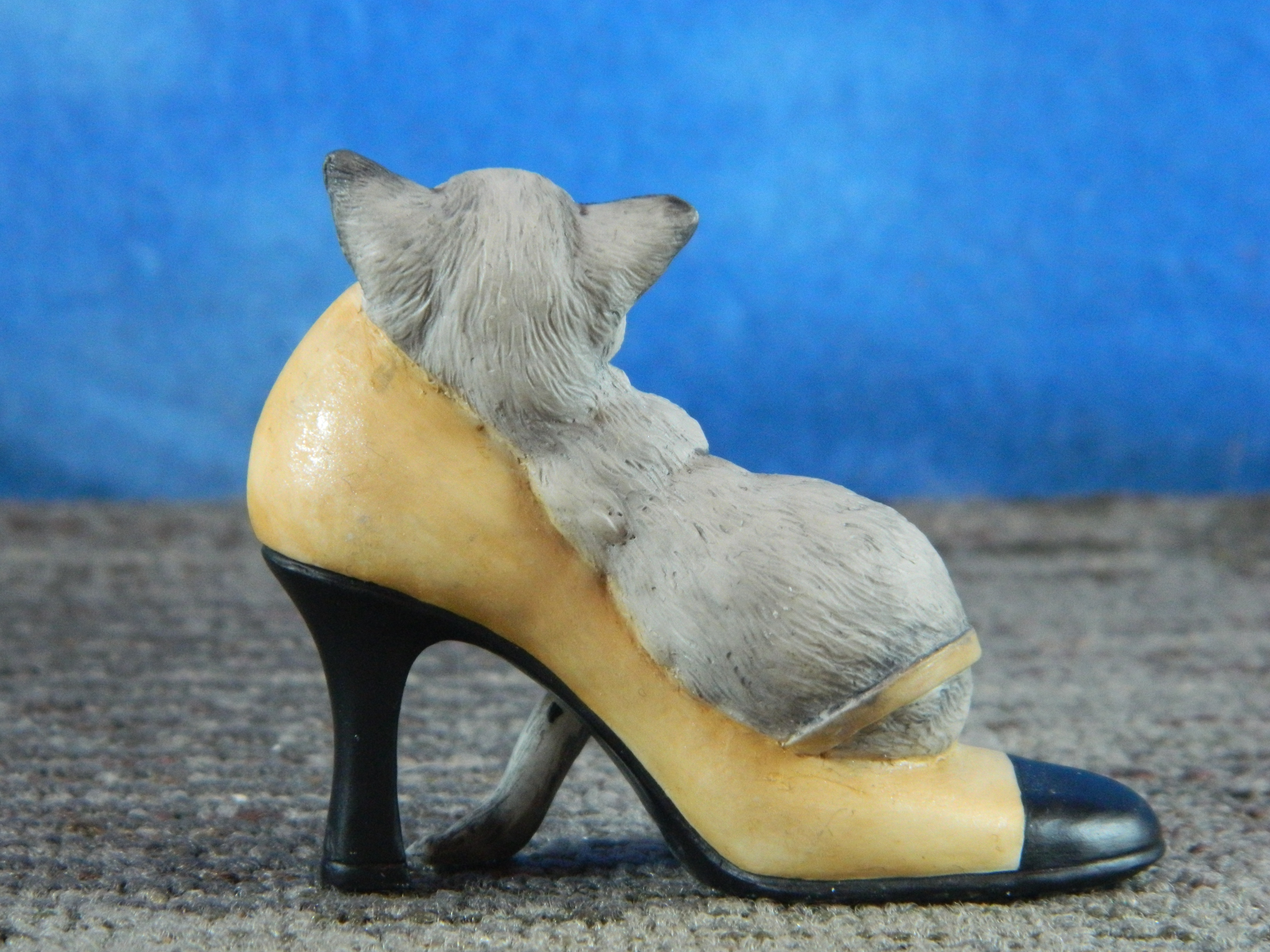 Country Artists Top Cats 2005 Cat Lying in Cream Shoe