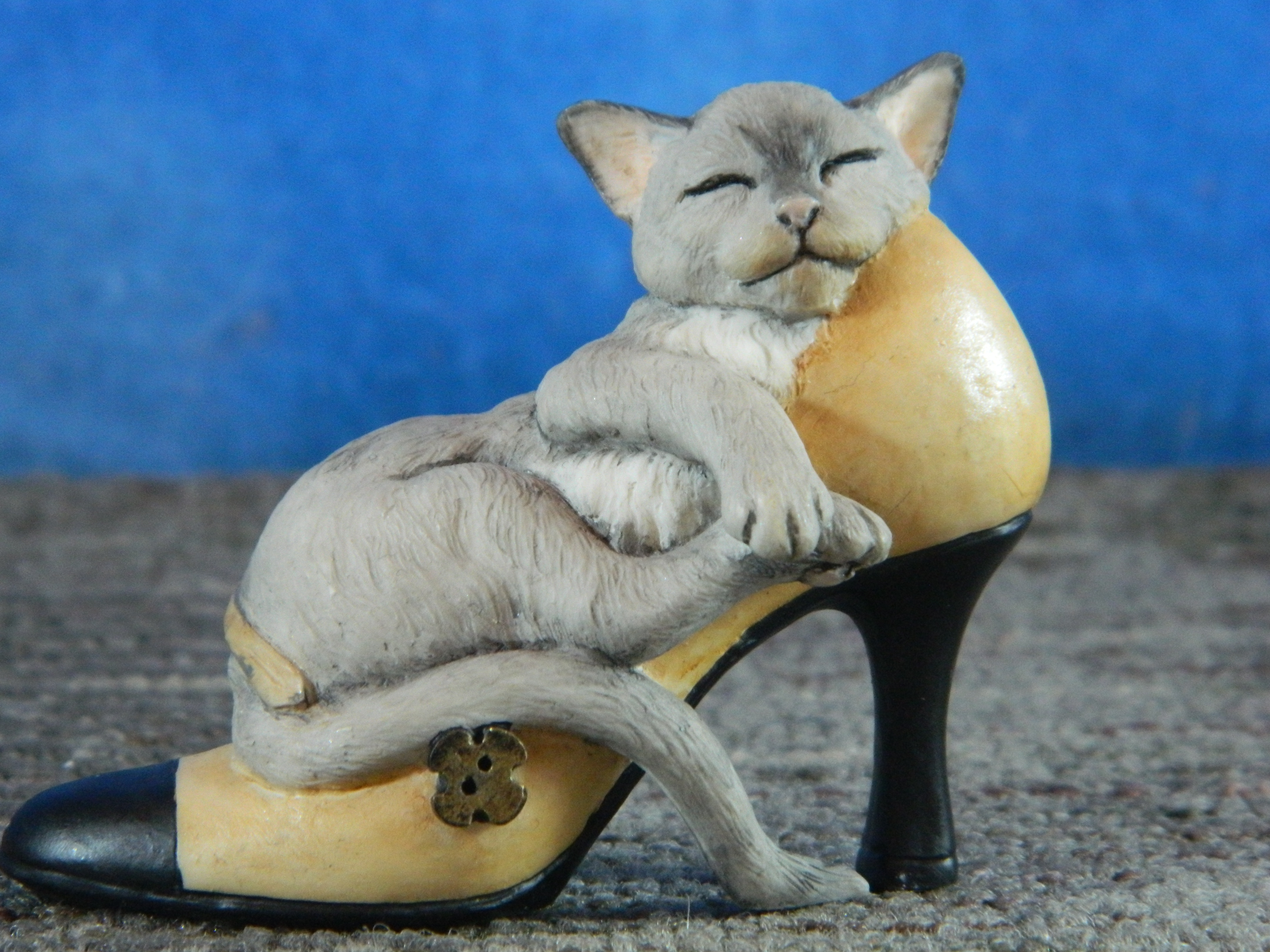 Country Artists Top Cats 2005 Cat Lying in Cream Shoe