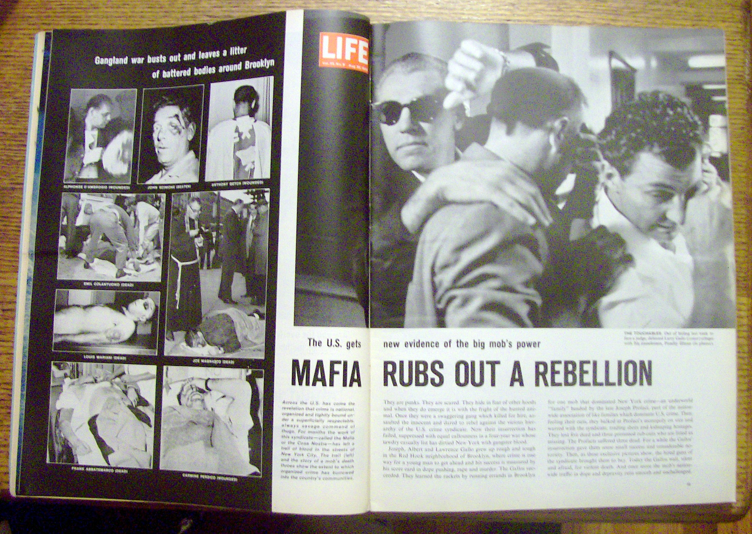 Life  Magazine-August 30, 1963-Elsa Martinelli