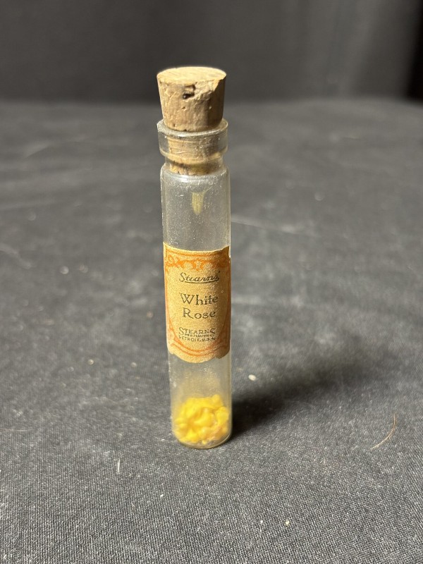 1880s Frederick Stearns Perfume Vial Tiny Micro Sea Shells Curiosity