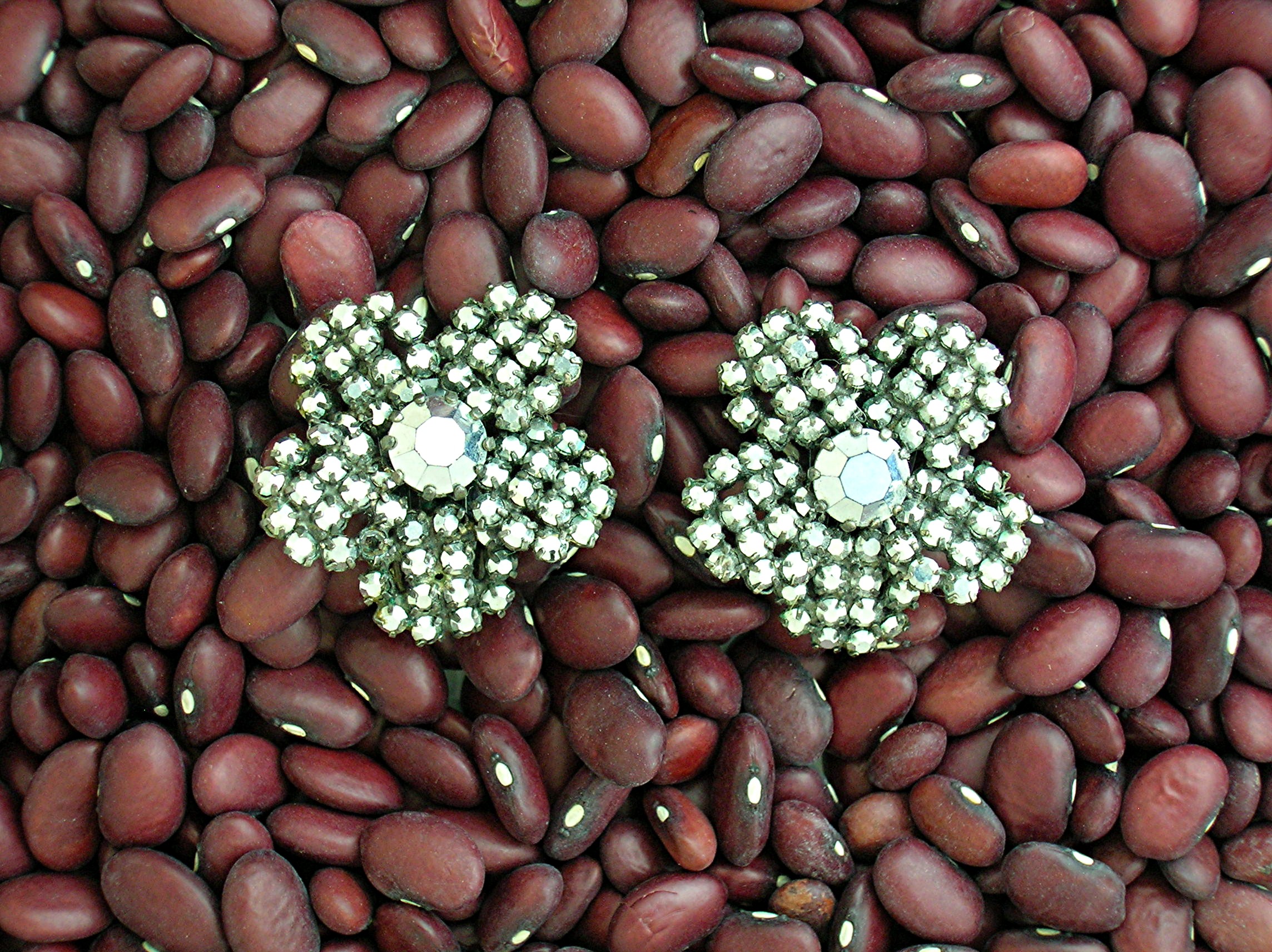 Beautiful Glass Flower Clip Earrings.