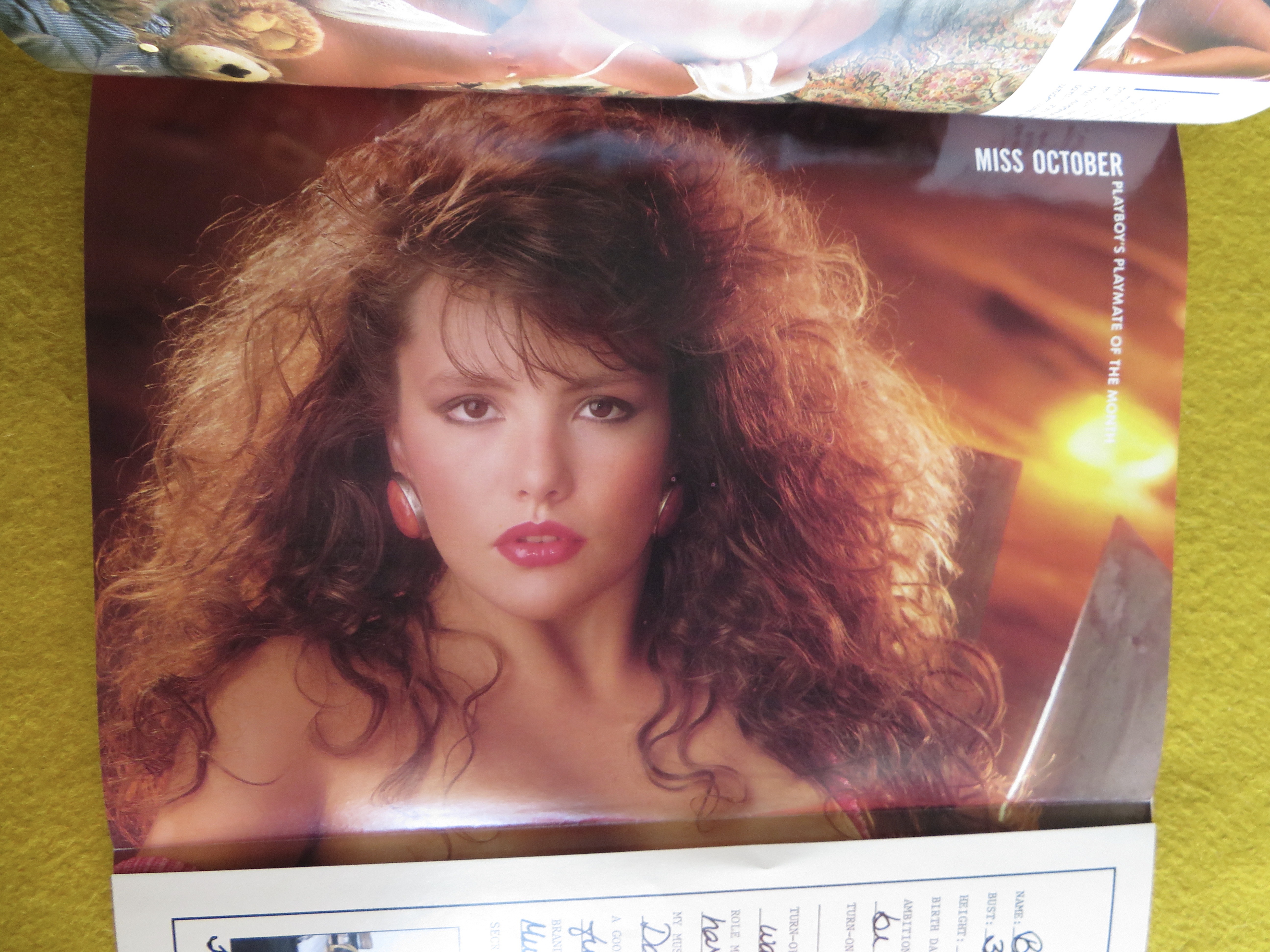 Playboy Magazine-October 1987-Brandi Brandt