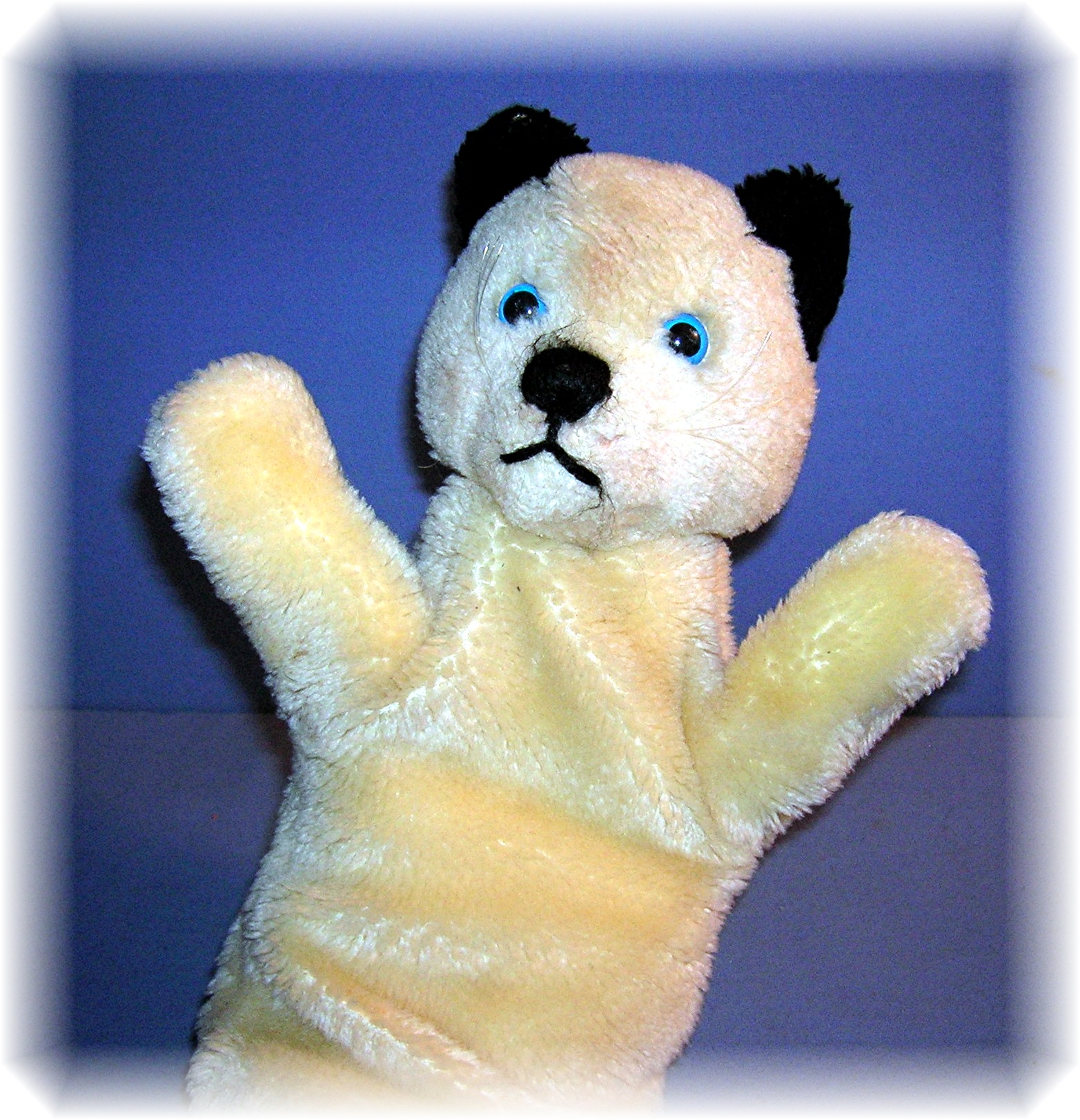 White English Hand Puppet called Sweep