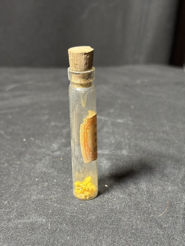 1880s Frederick Stearns Perfume Vial Tiny Micro Sea Shells Curiosity