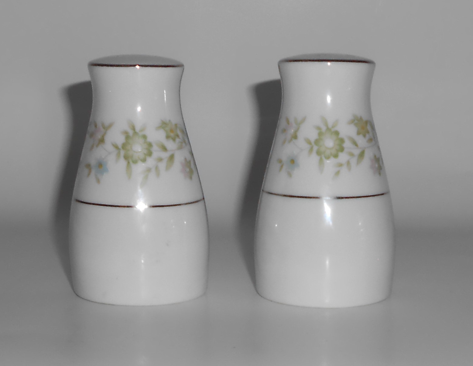 Royal Wentworth Japan China Porcelain Pauline 8695 S&P