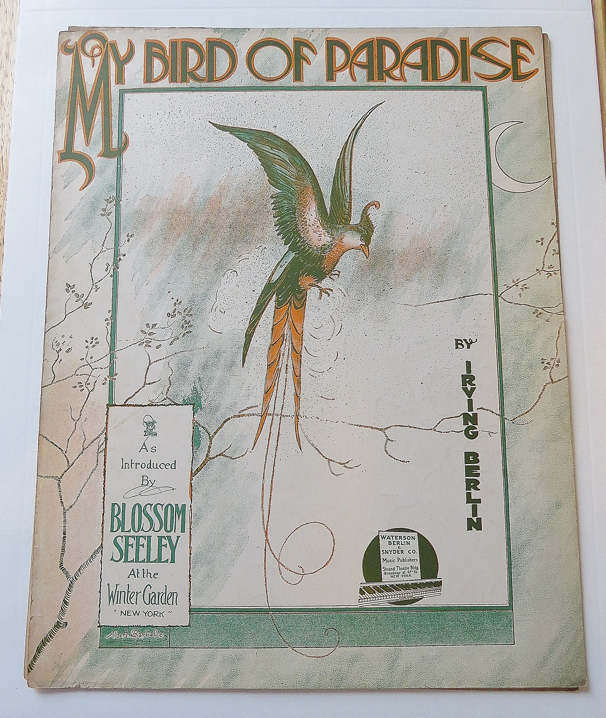 1915 My Bird Of Paradise