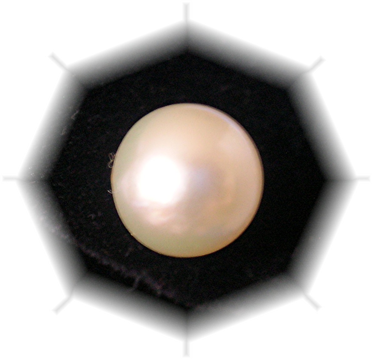 Earrings 14K 7mm Pearl Stud