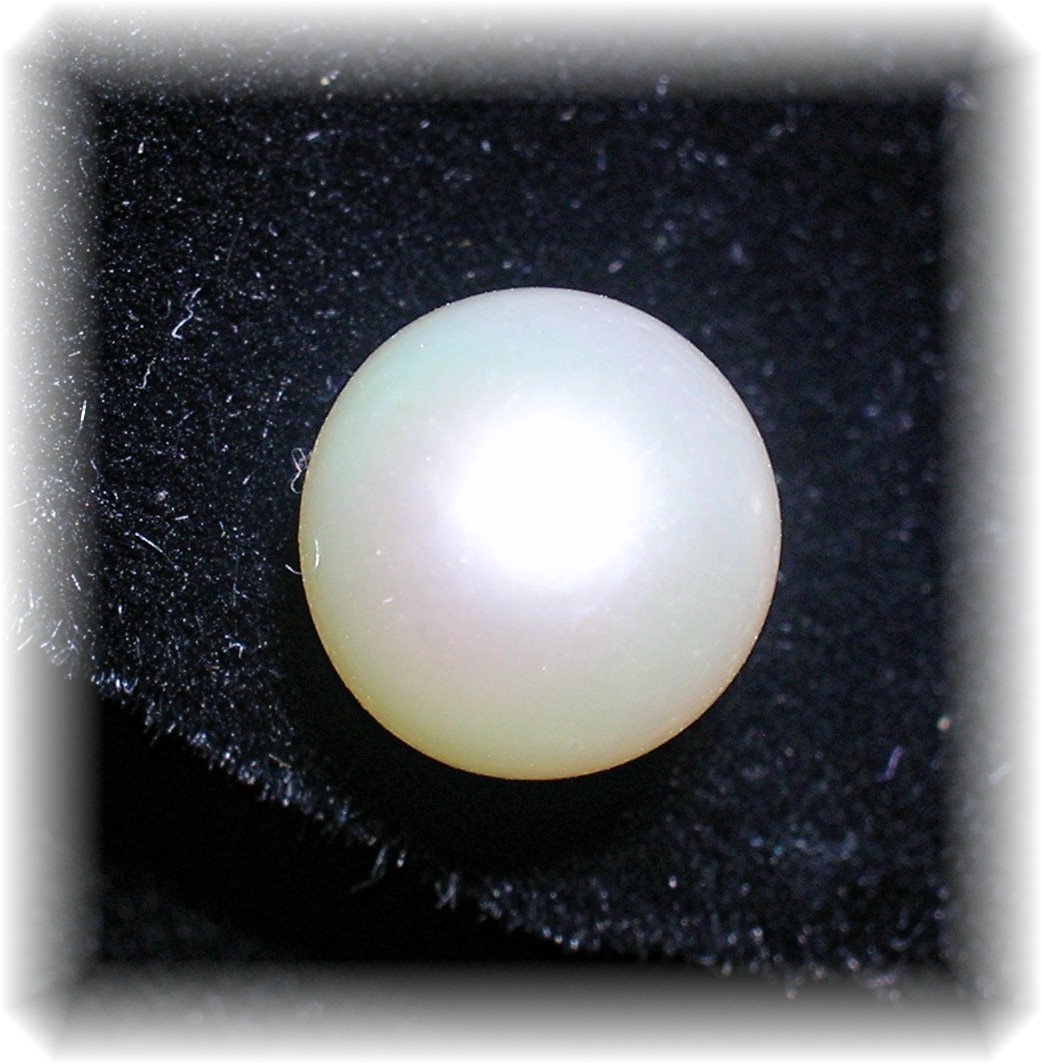 Earrings 14K 7mm Pearl Stud