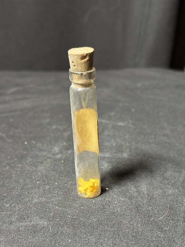 1880s Frederick Stearns Perfume Vial Tiny Micro Sea Shells Curiosity