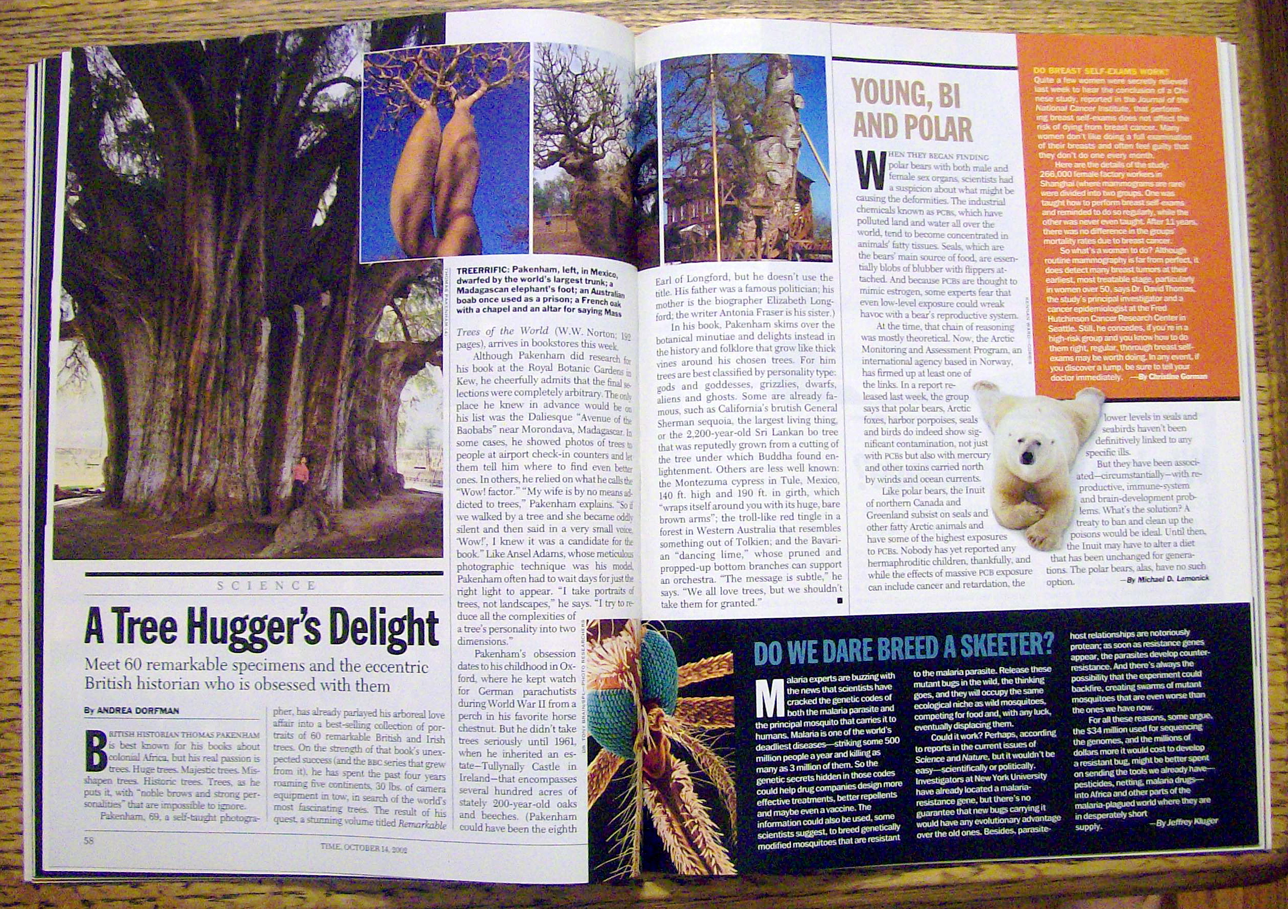 Time Magazine October 14, 2002 Inside New American Home