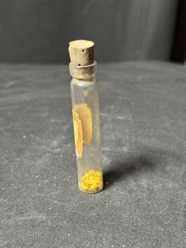 1880s Frederick Stearns Perfume Vial Tiny Micro Sea Shells Curiosity