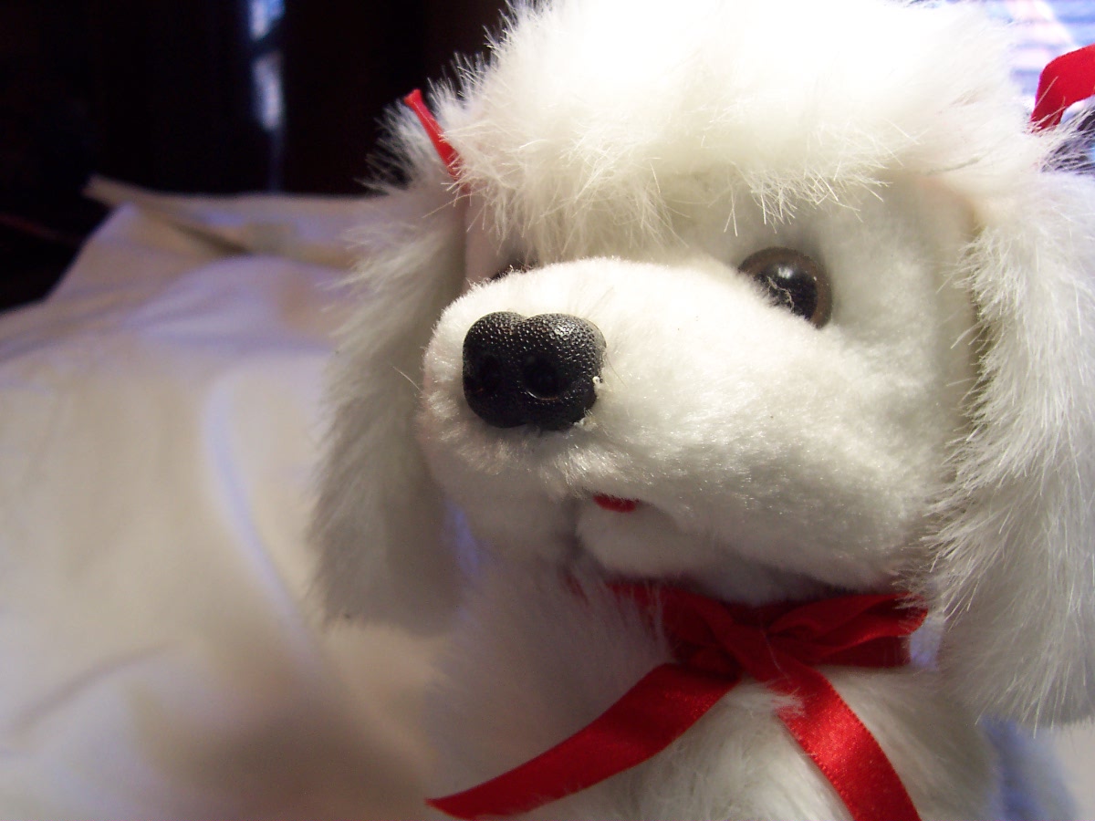Poodle Stuffed Animated Battery Operated