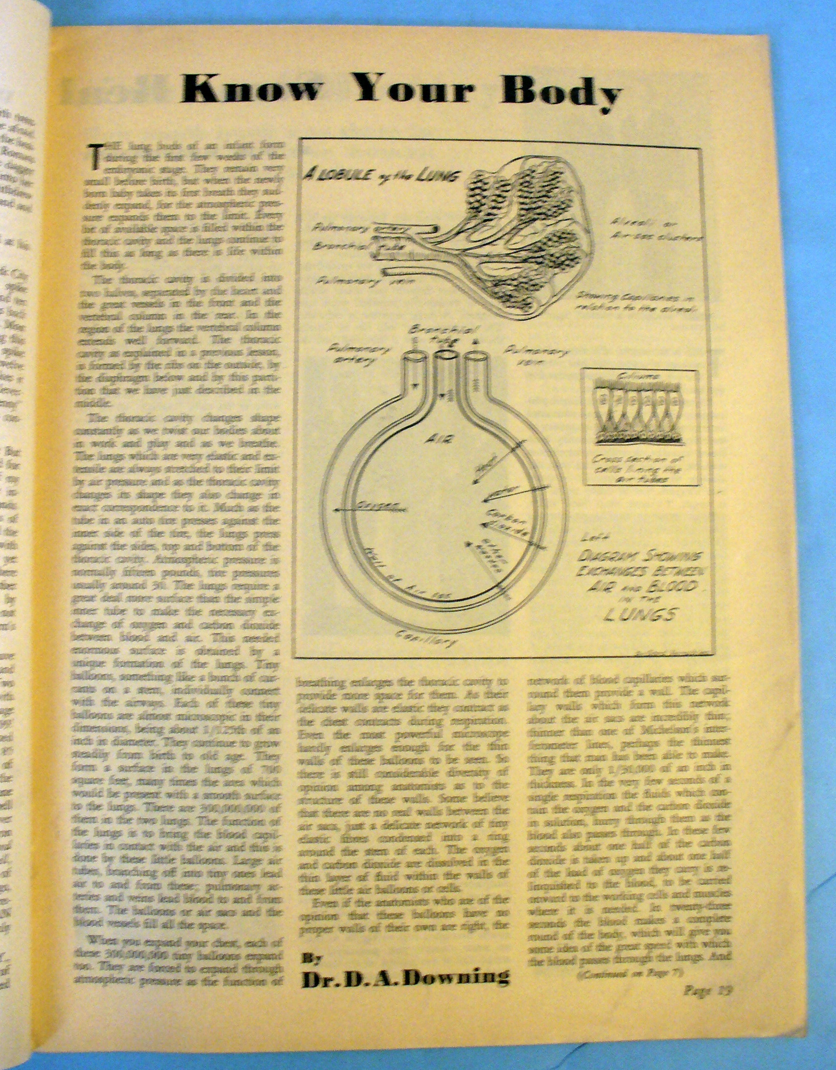 Strength & Health Magazine October 1938 Man & Weight
