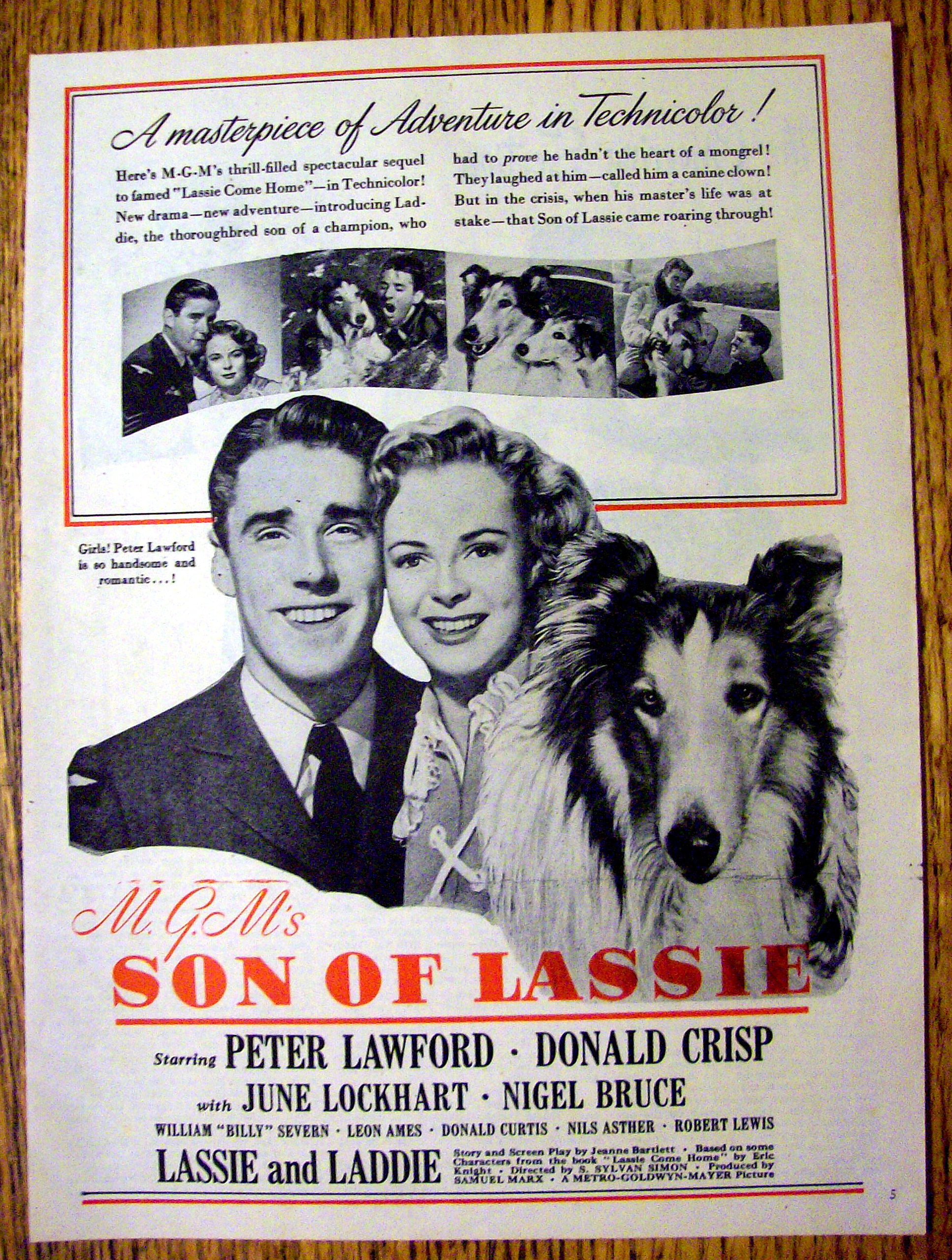 1945 Son of Lassie with Peter Lawford & Lassie