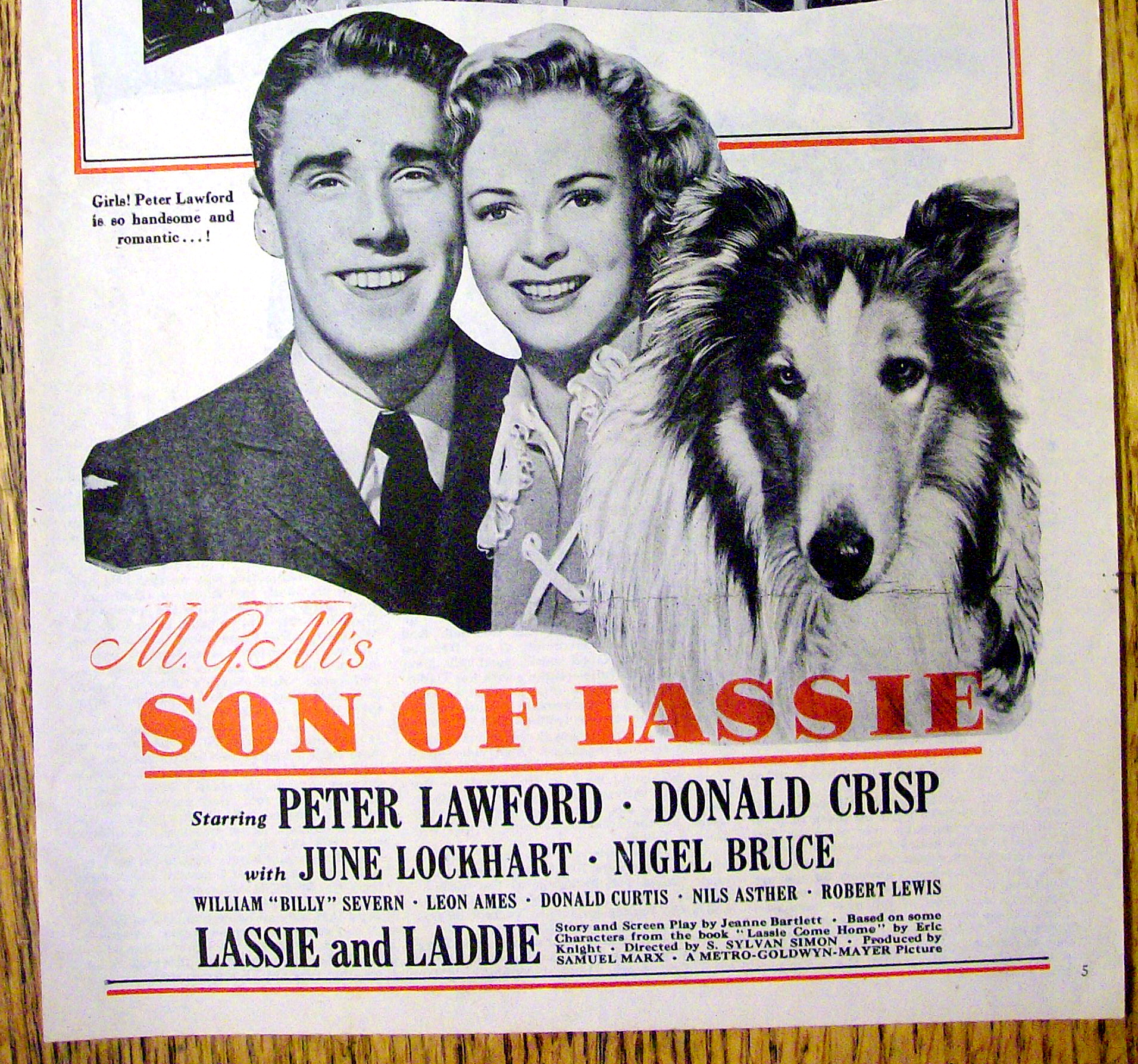 1945 Son of Lassie with Peter Lawford & Lassie