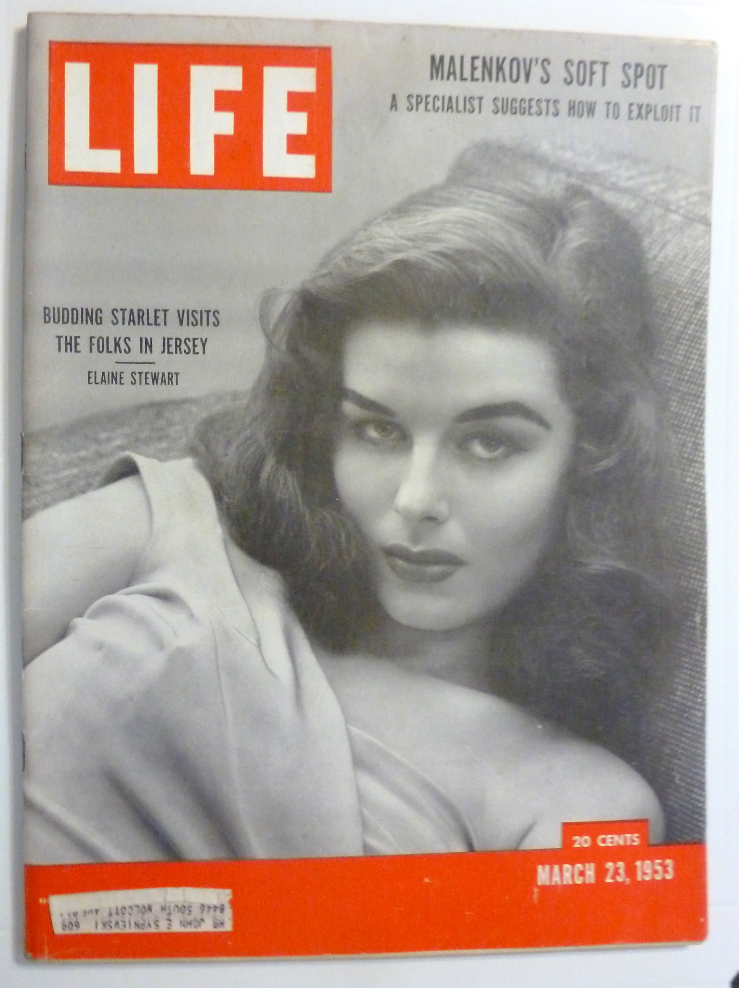 Life Magazine - March 23, 1953 - Elaine Stewart