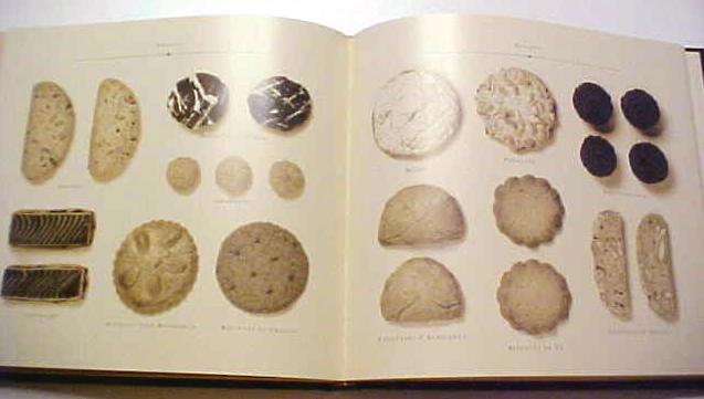 The IL Fornaio Baking Book 1993 Franco Galli Cookbook