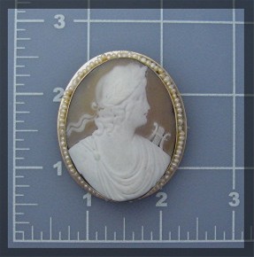 14K Gold Shell Cameo  Seed Pearls Brooch