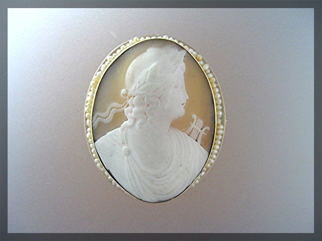 14K Gold Shell Cameo  Seed Pearls Brooch