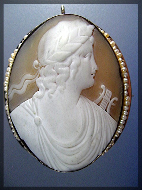 14K Gold Shell Cameo  Seed Pearls Brooch