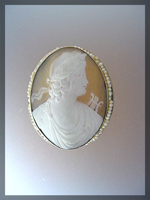 14K Gold Shell Cameo  Seed Pearls Brooch