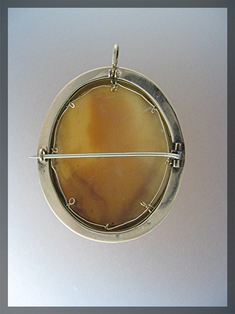 14K Gold Shell Cameo  Seed Pearls Brooch